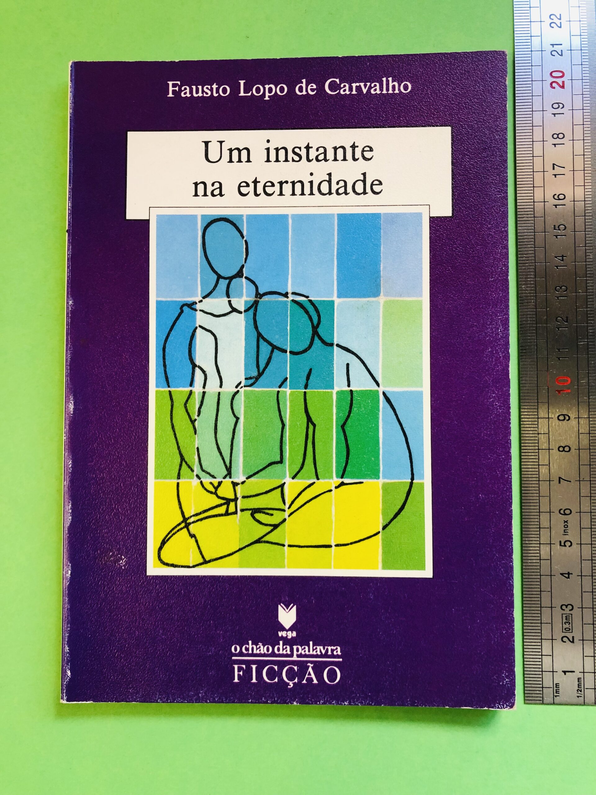 Um instante na eternidade - Fausto Lopo de Carvalho