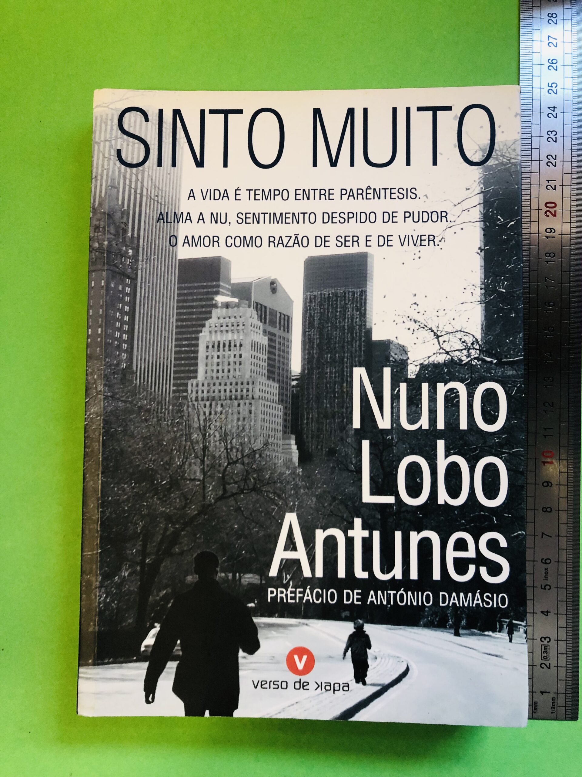 Sinto Muito - Nuno Lobo Antunes