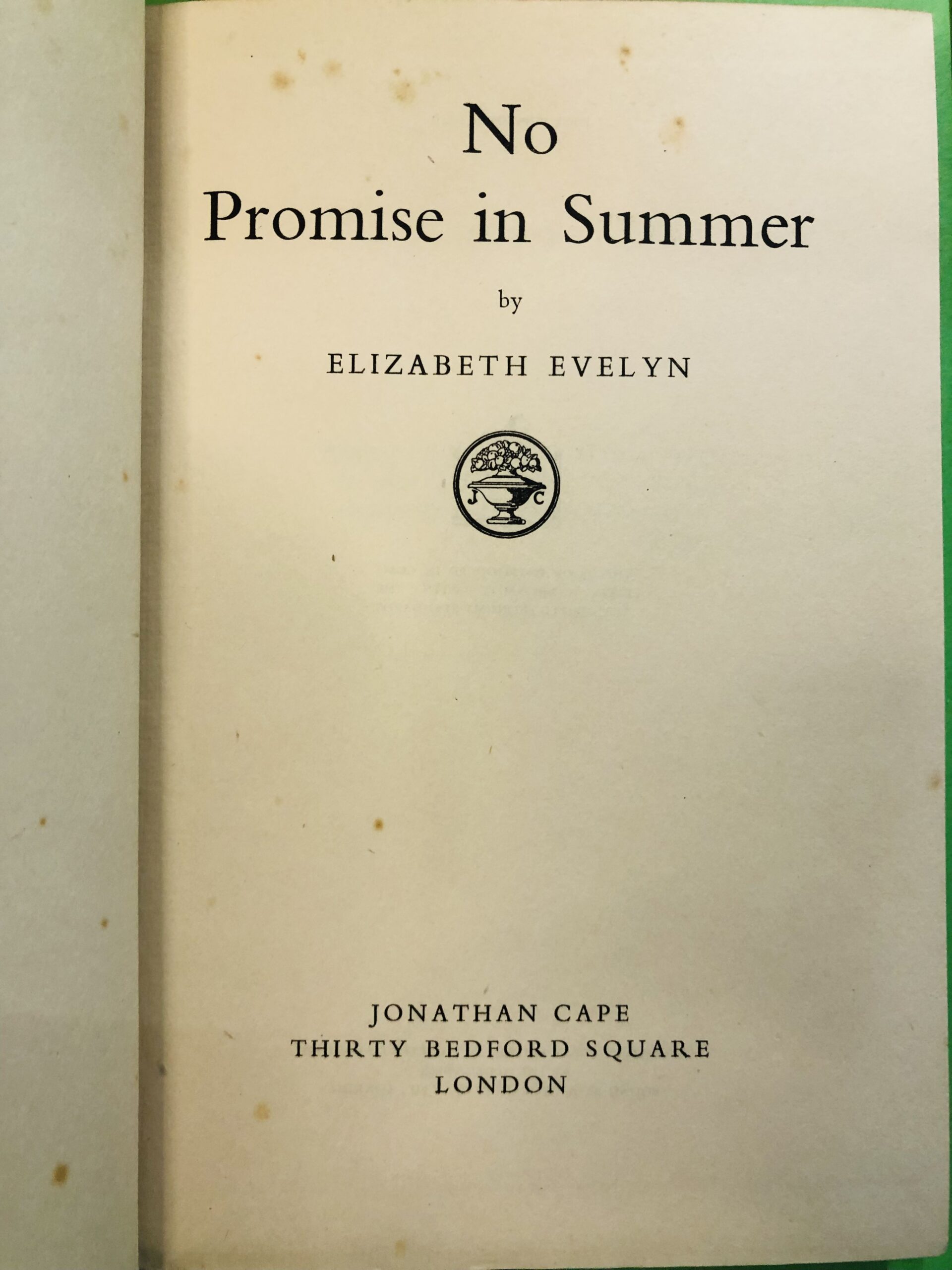 No Promise in Summer - Elizabeth Evelyn