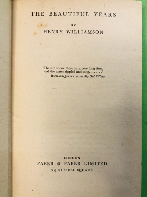 The Beautiful Years - Henry Williamson