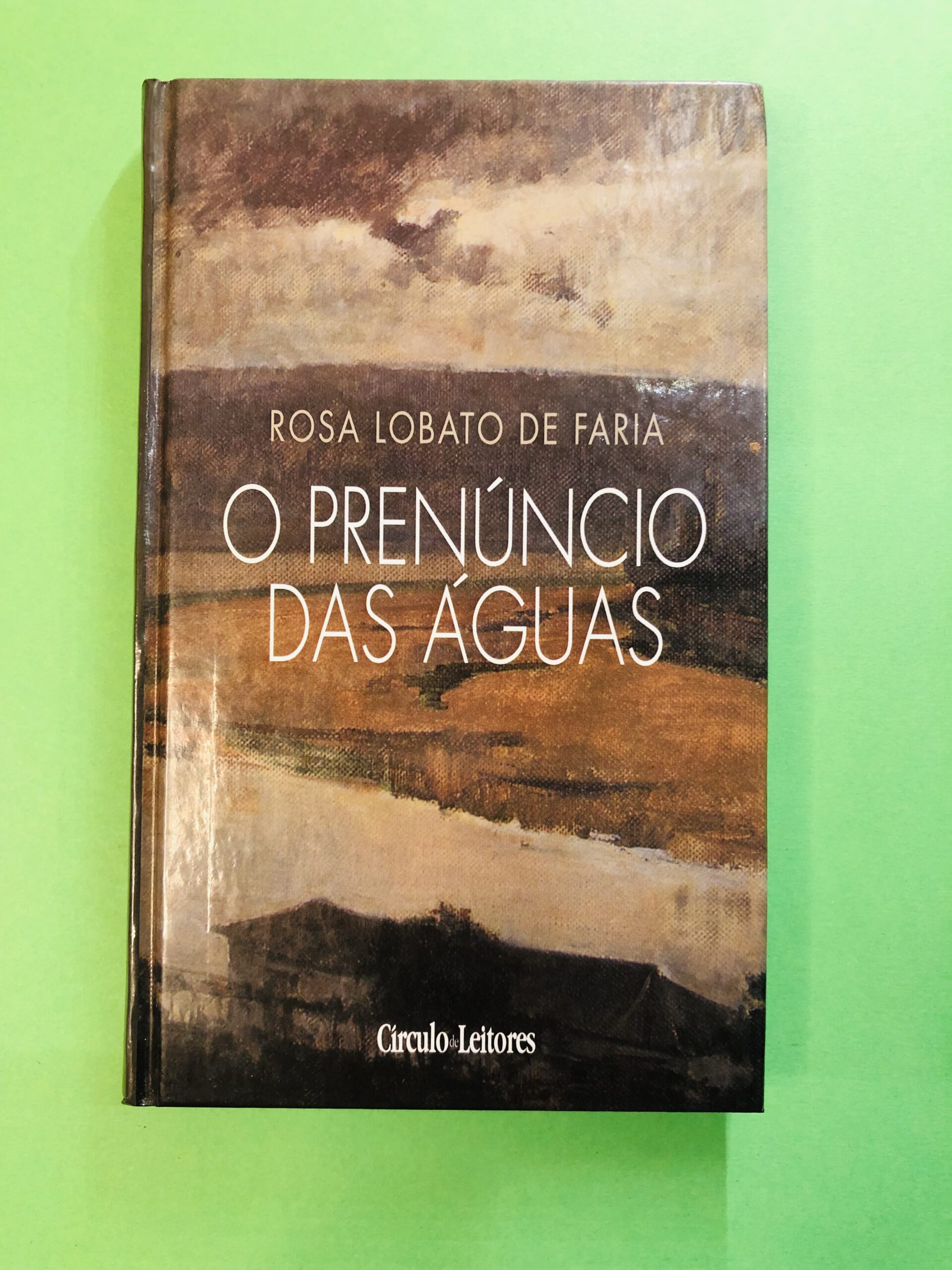 O Prenúncio das Águas - Rosa Lobato de Faria