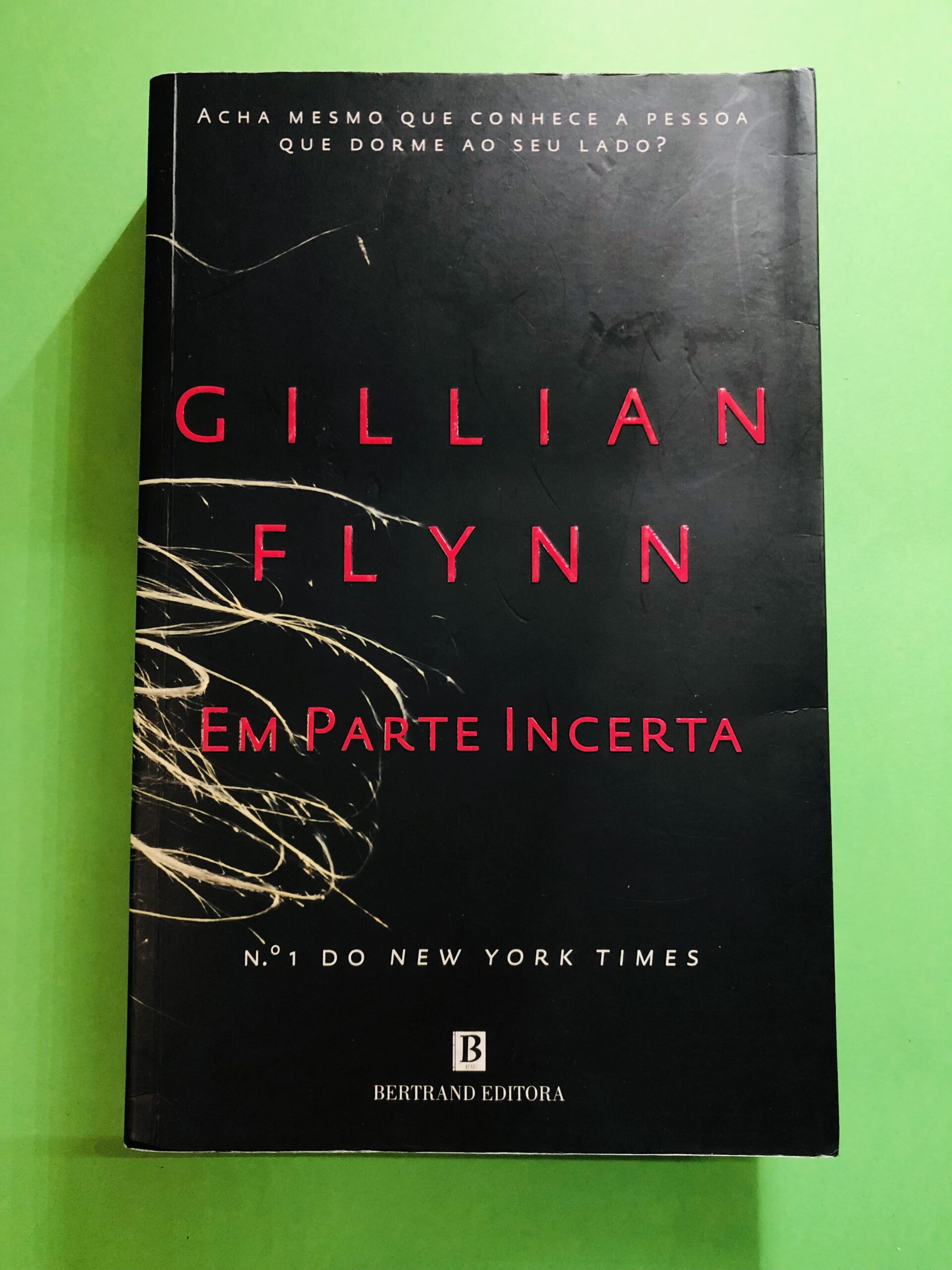 Em Parte Incerta - Gillian Flynn