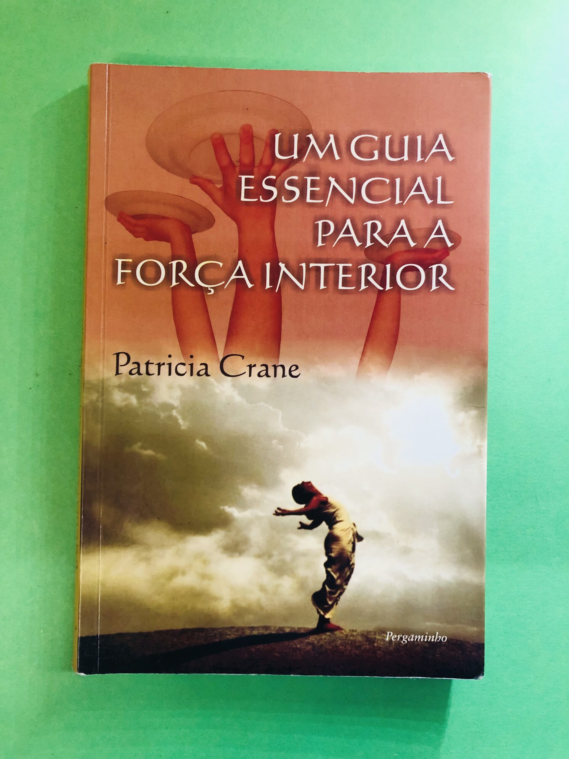 Um Guia Essencial para a Força Interior - Patricia Crane