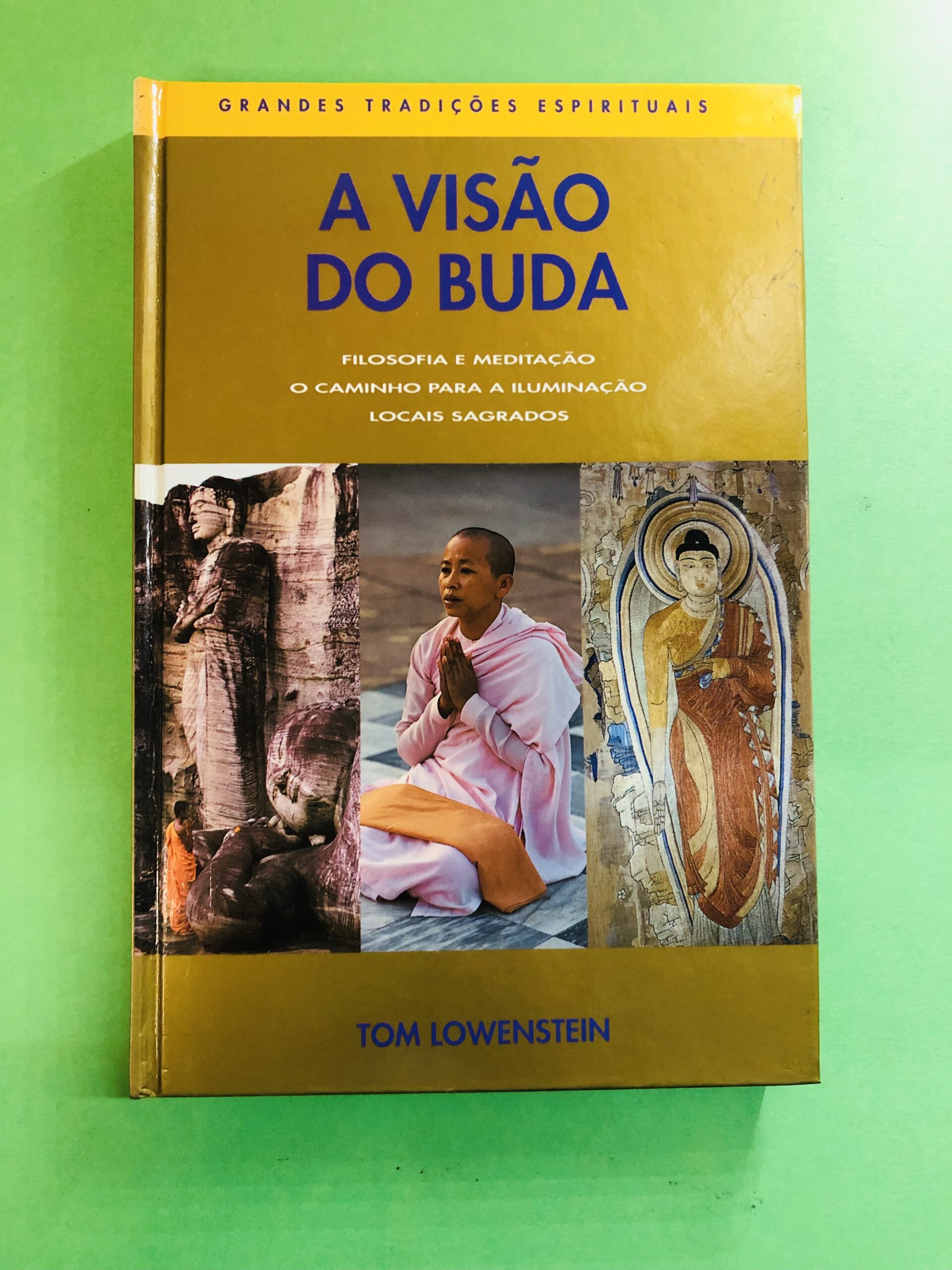 A VISÃO DO BUDA - TOM LOWENSTEIN