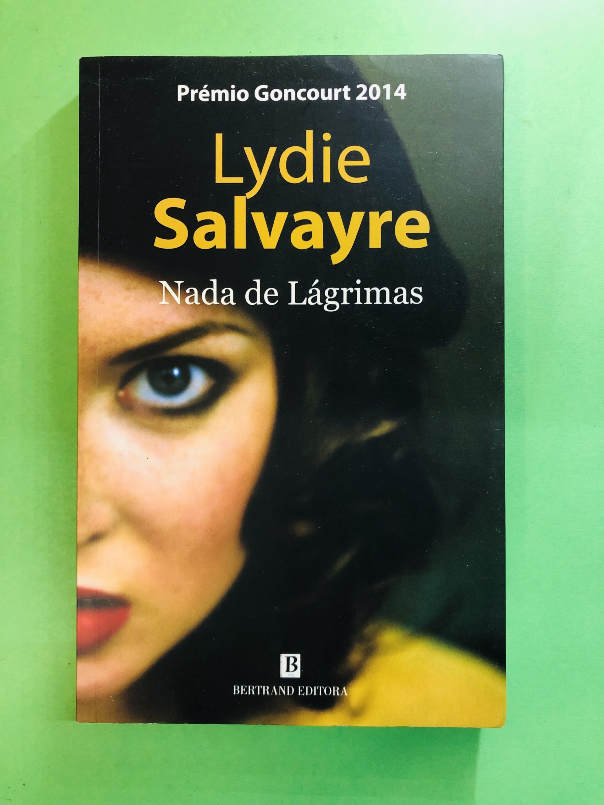 Nada de Lágrimas - Lydie Salvayre