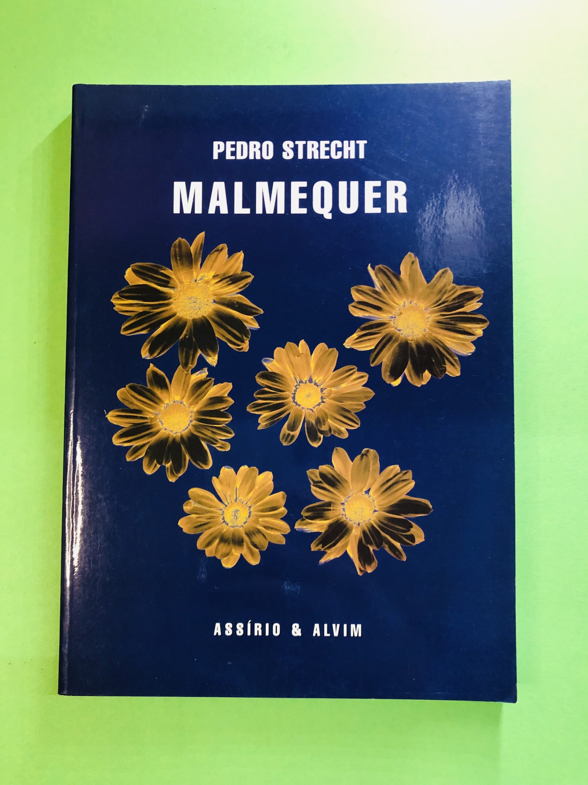 Malmequer - Pedro Strecht