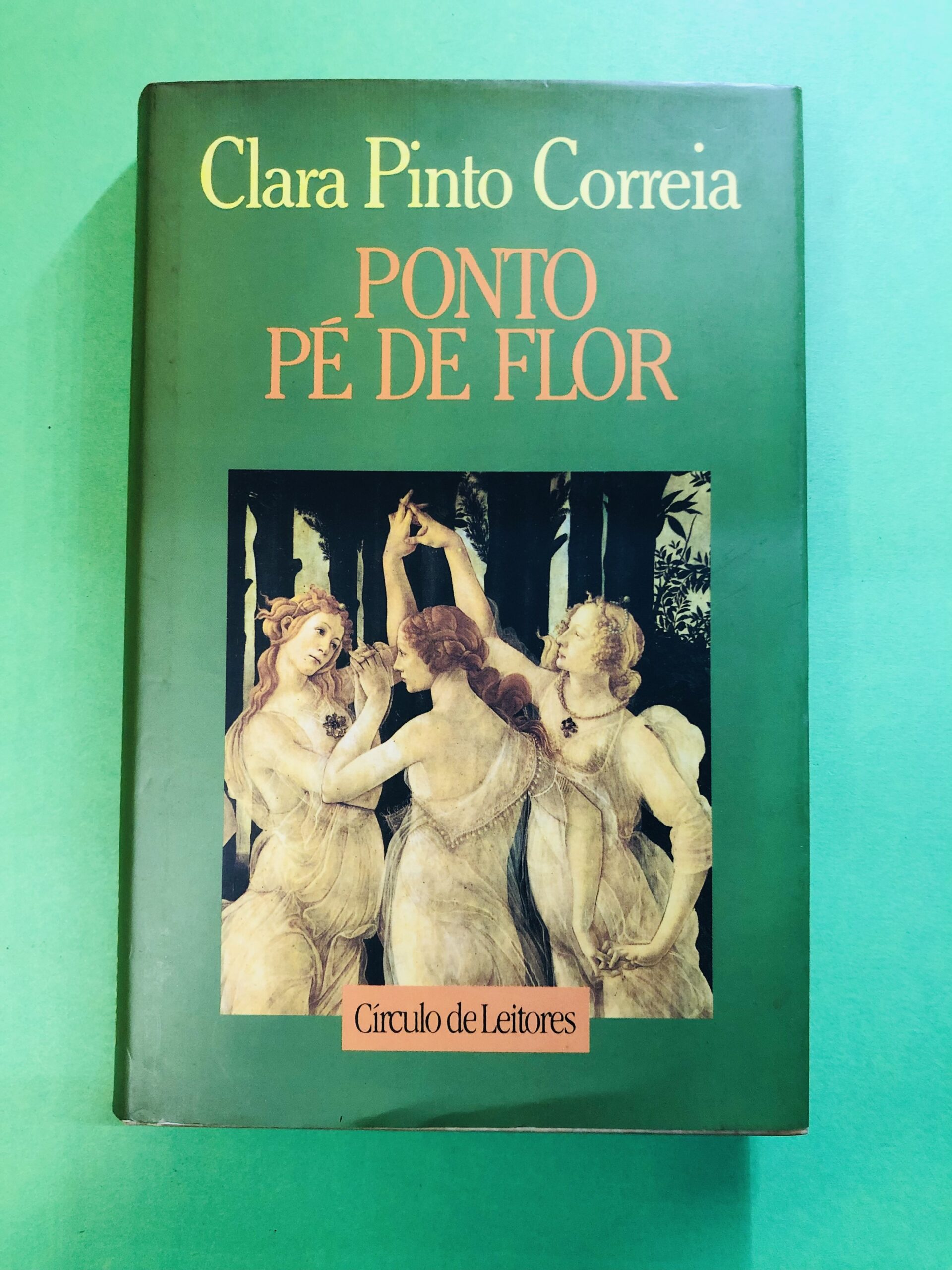 Ponto Pé de Flor - Clara Pinto Correia