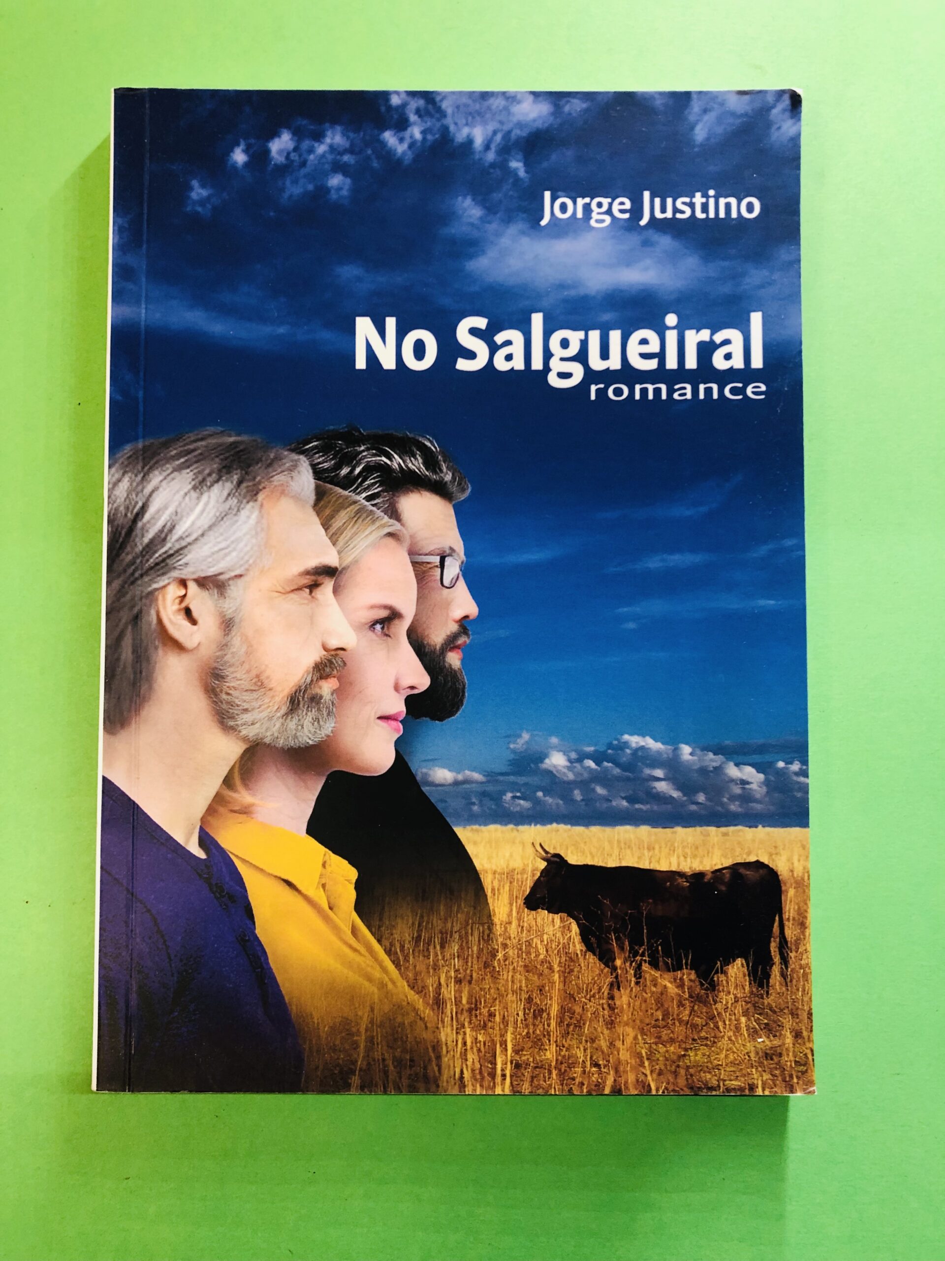 No Salgueiral - Jorge Justino
