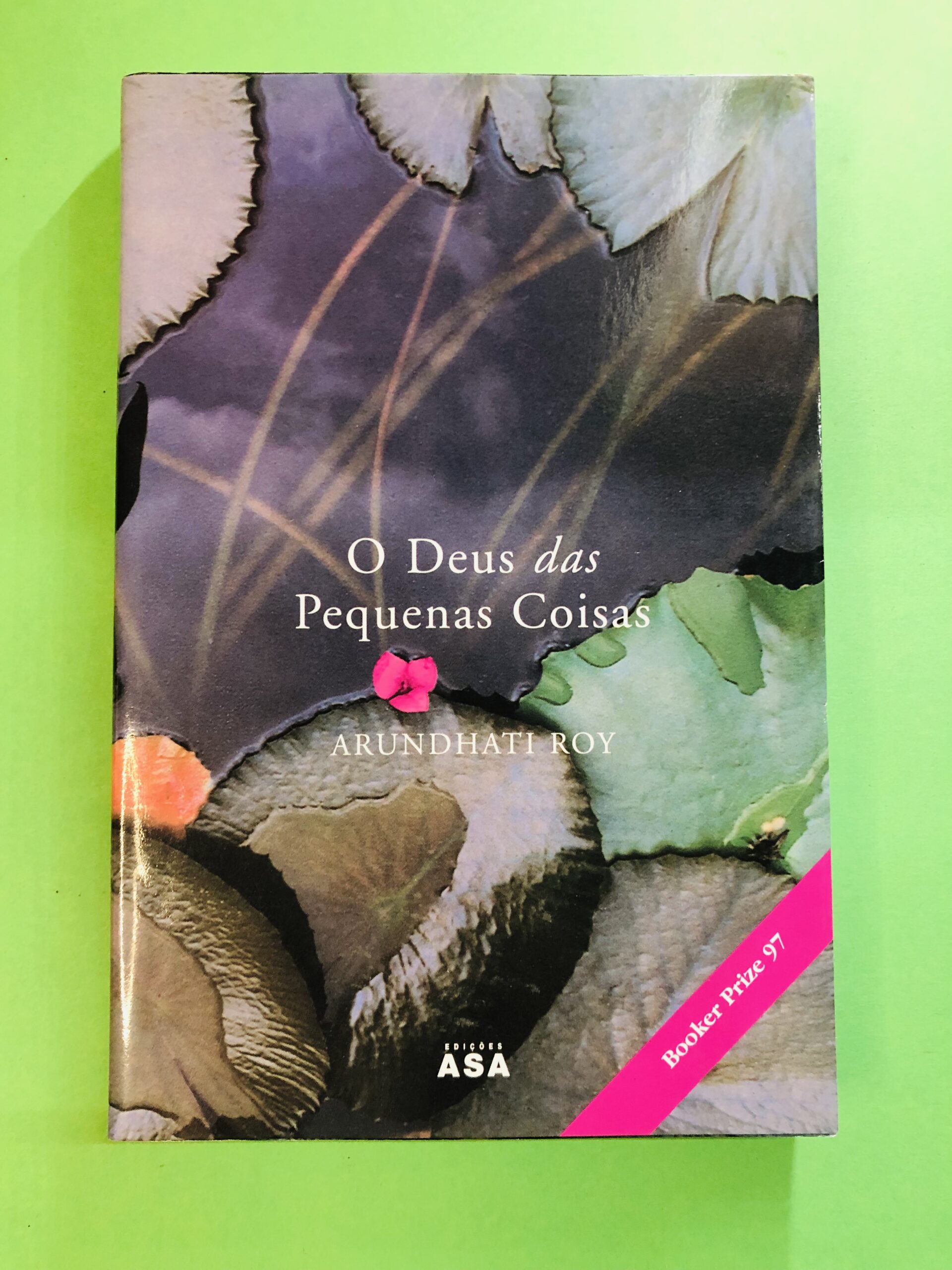 O Deus das Pequenas Coisas - Arundhati Roy