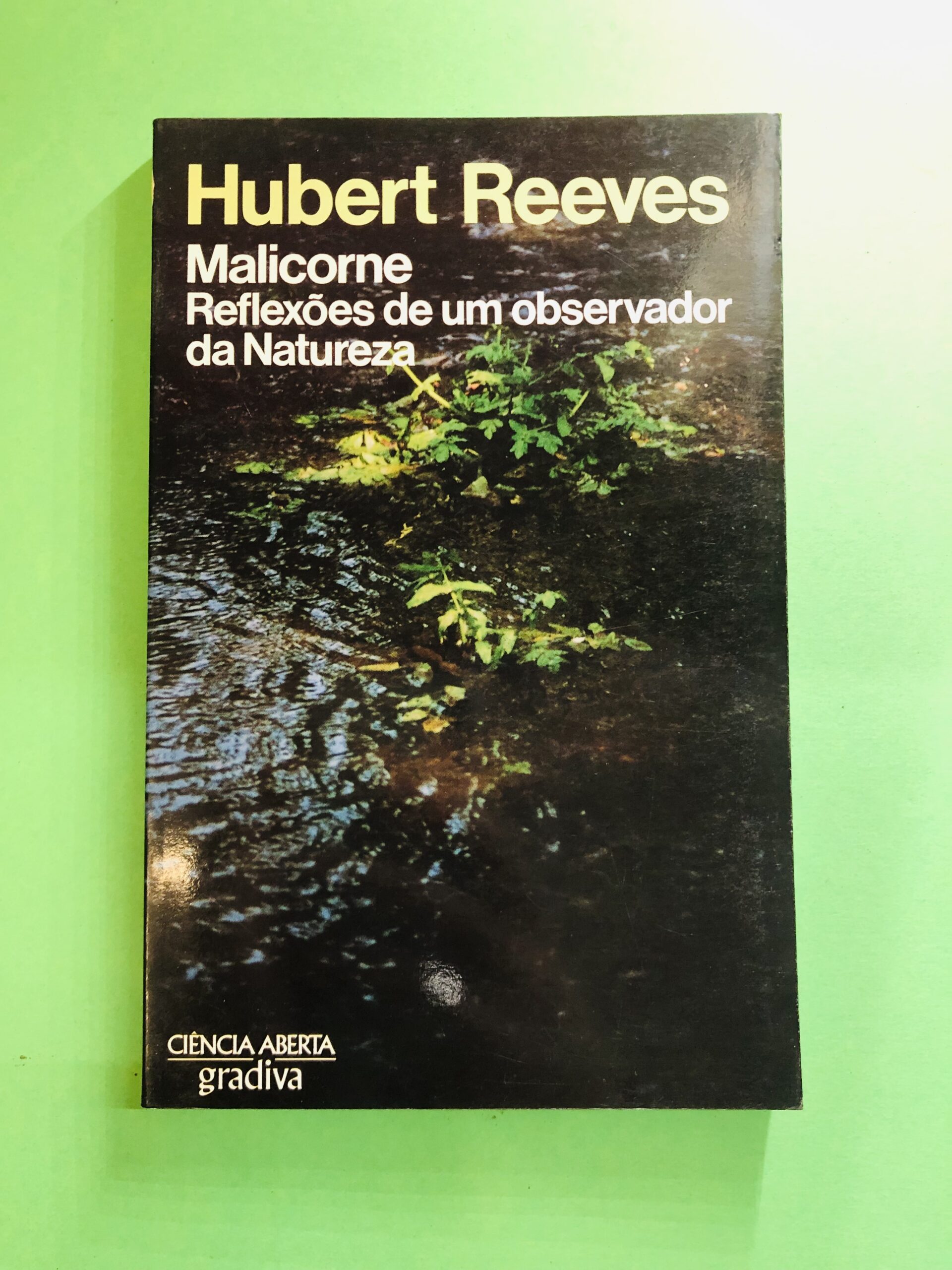 Malicorne - Hubert Reeves