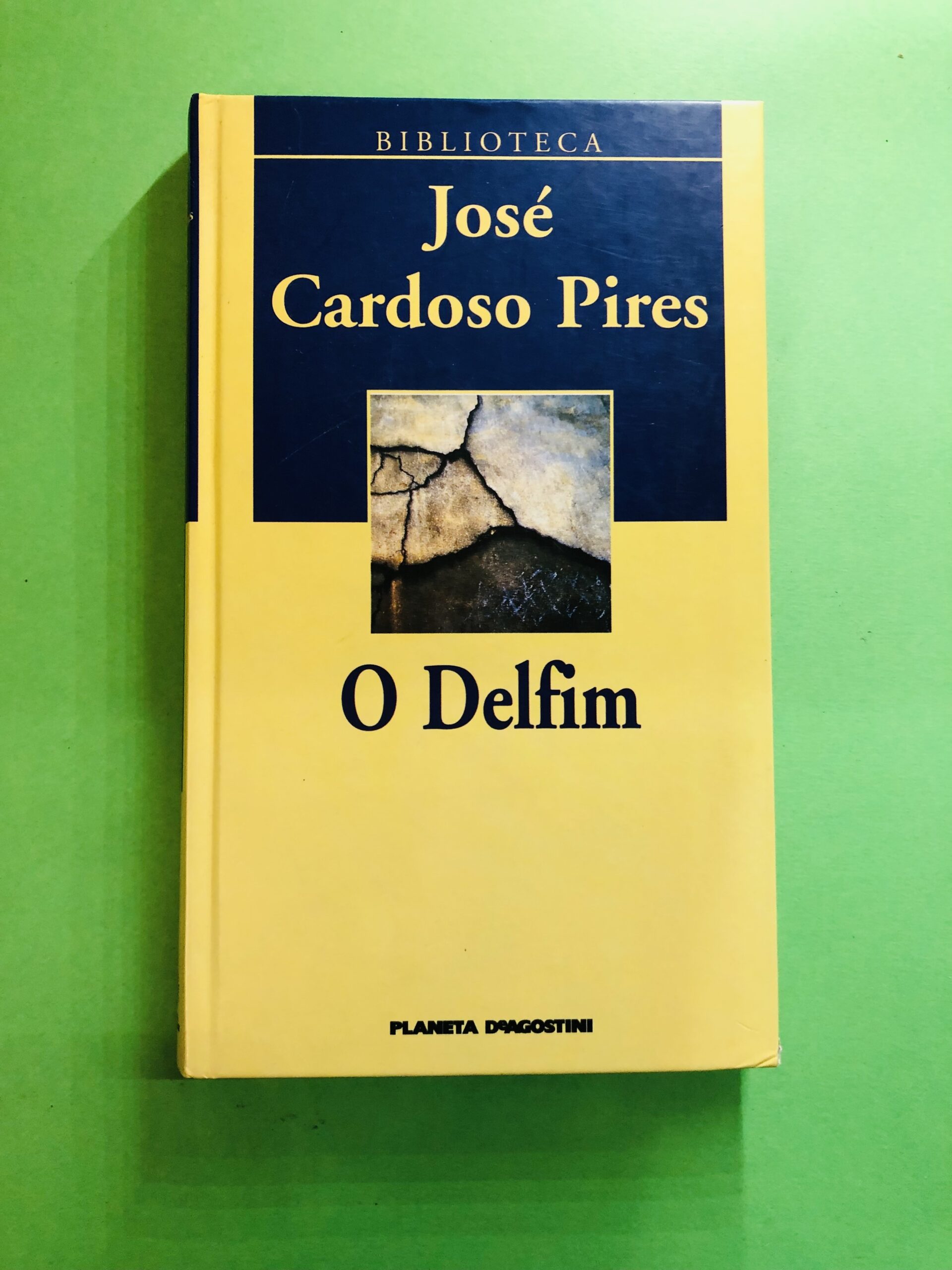 O Delfim - José Cardoso Pires