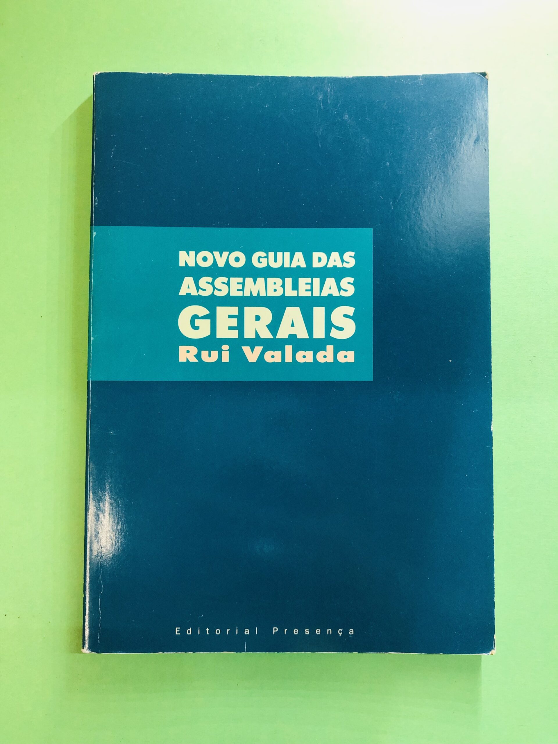 Novo Guia das Assembleias Gerais - Rui Valada