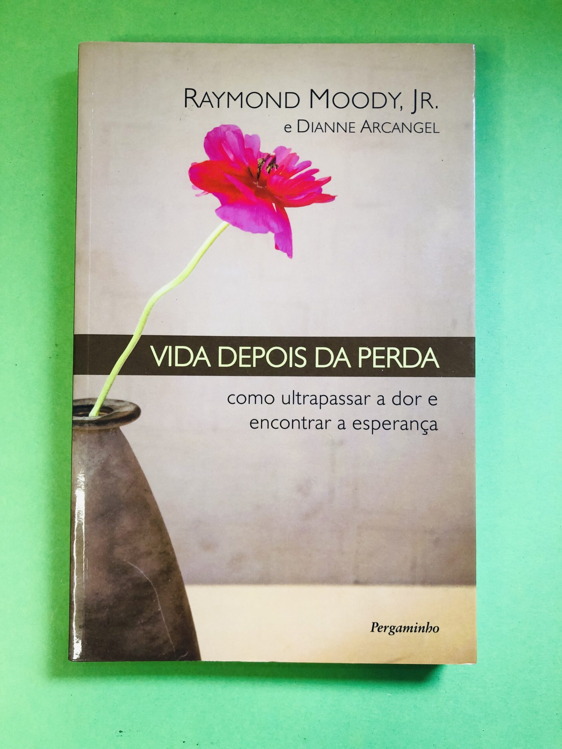 Vida Depois da Perda - Raymond Moody, Jr. e Dianne Arcangel