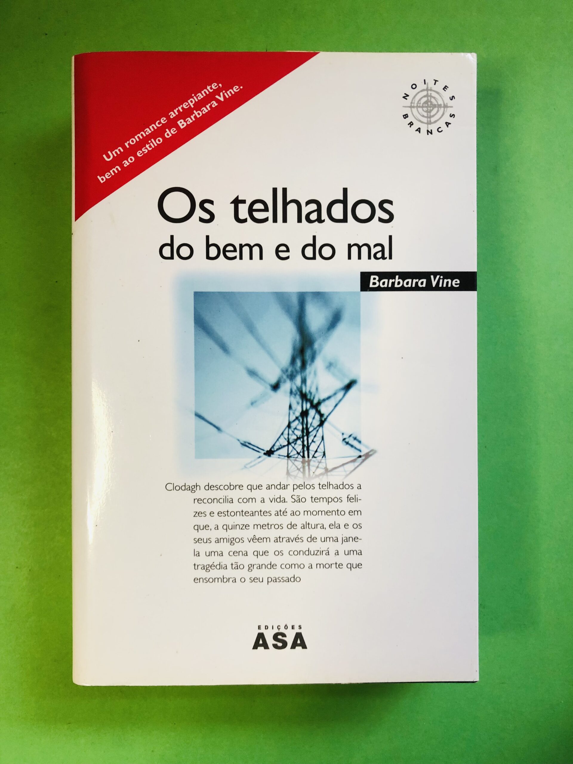 Os telhados do bem e do mal - Barbara Vine