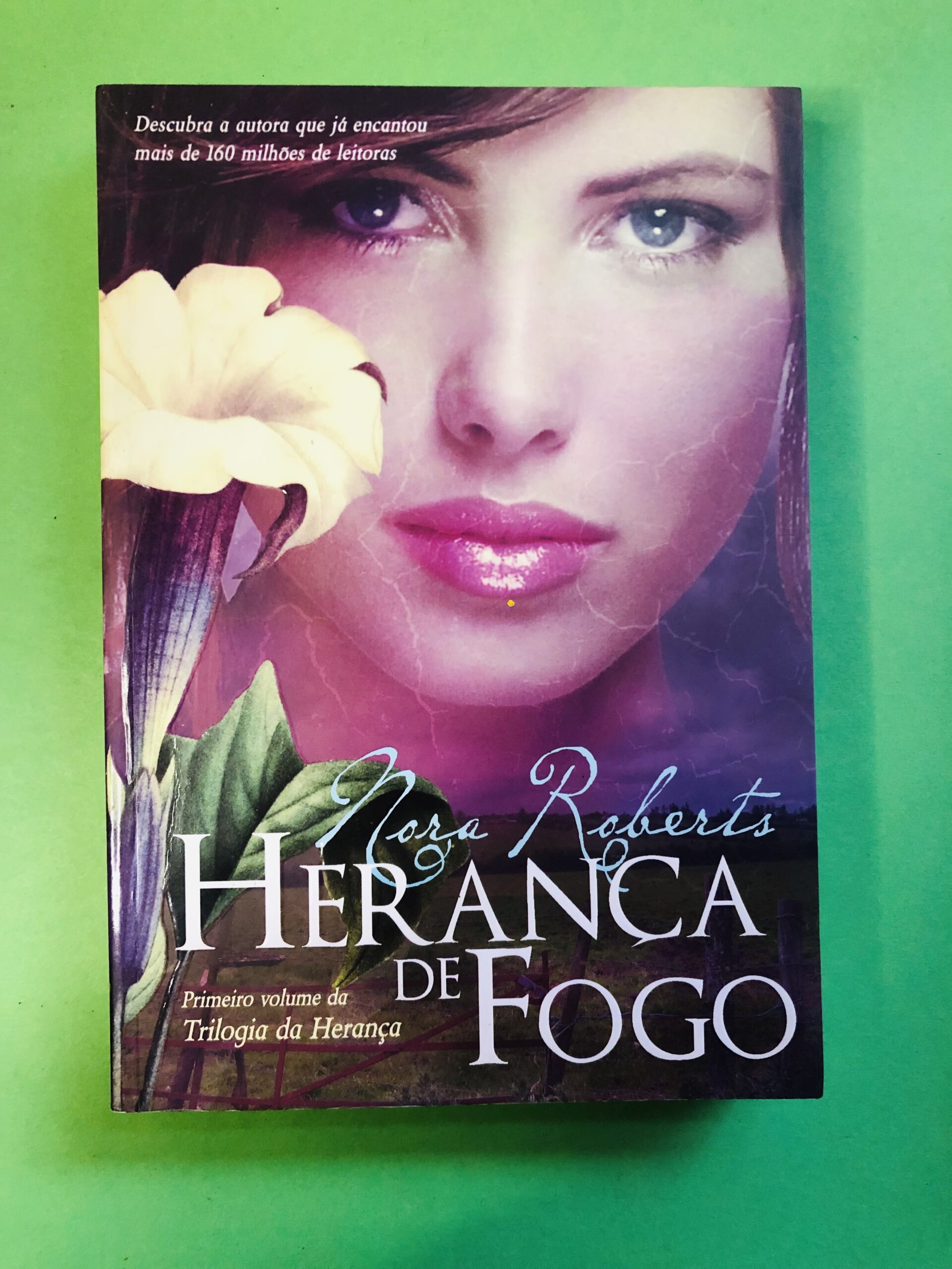 Herança de Fogo - Nora Roberts