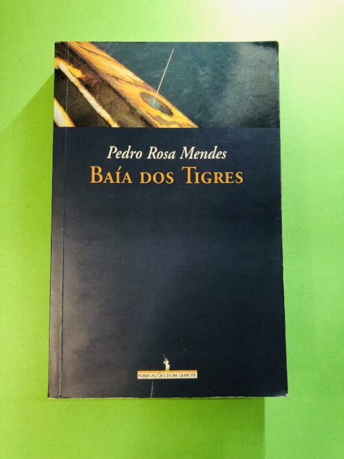 Baía dos Tigres - Pedro Rosa Mendes