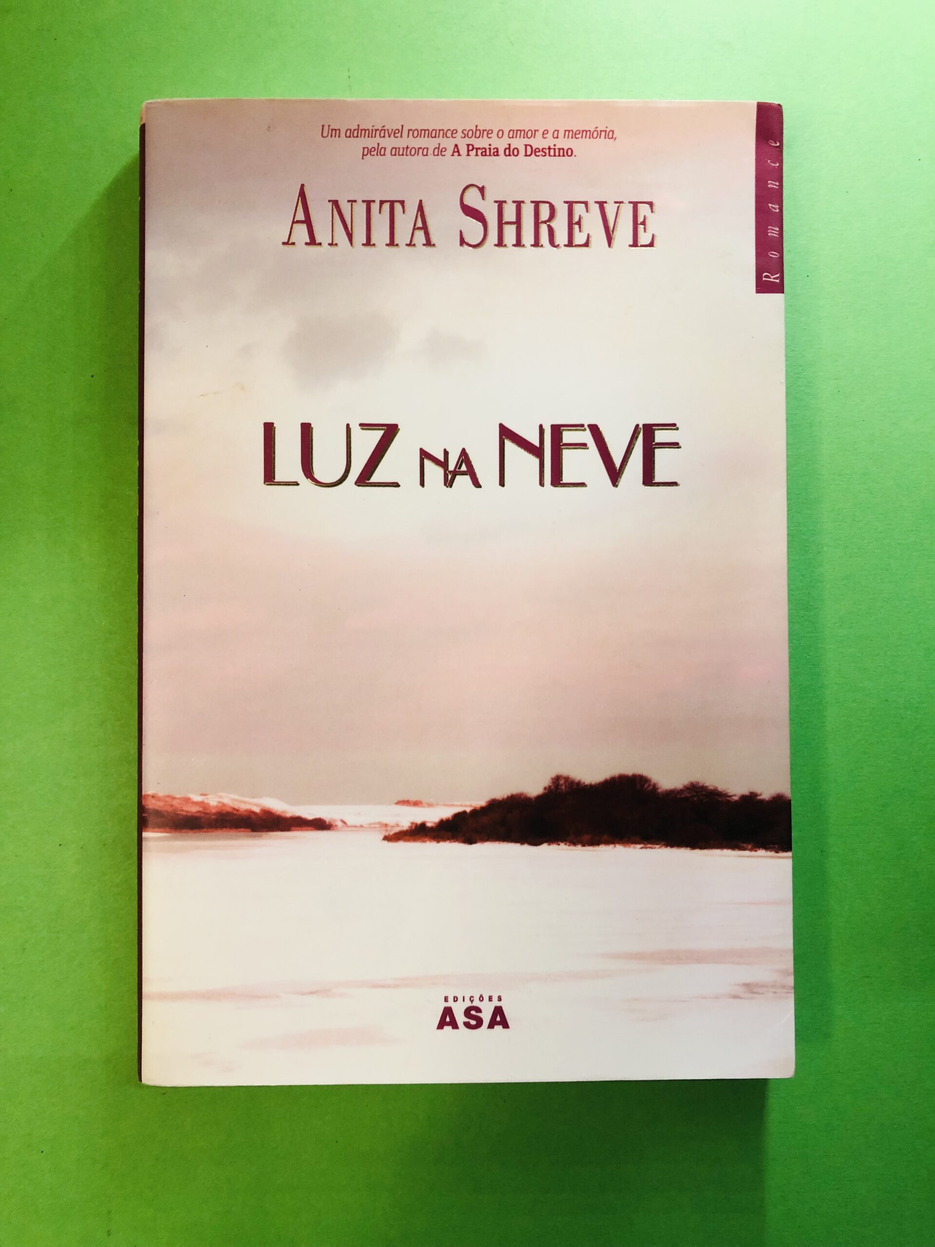 Luz na Neve - Anita Shreve