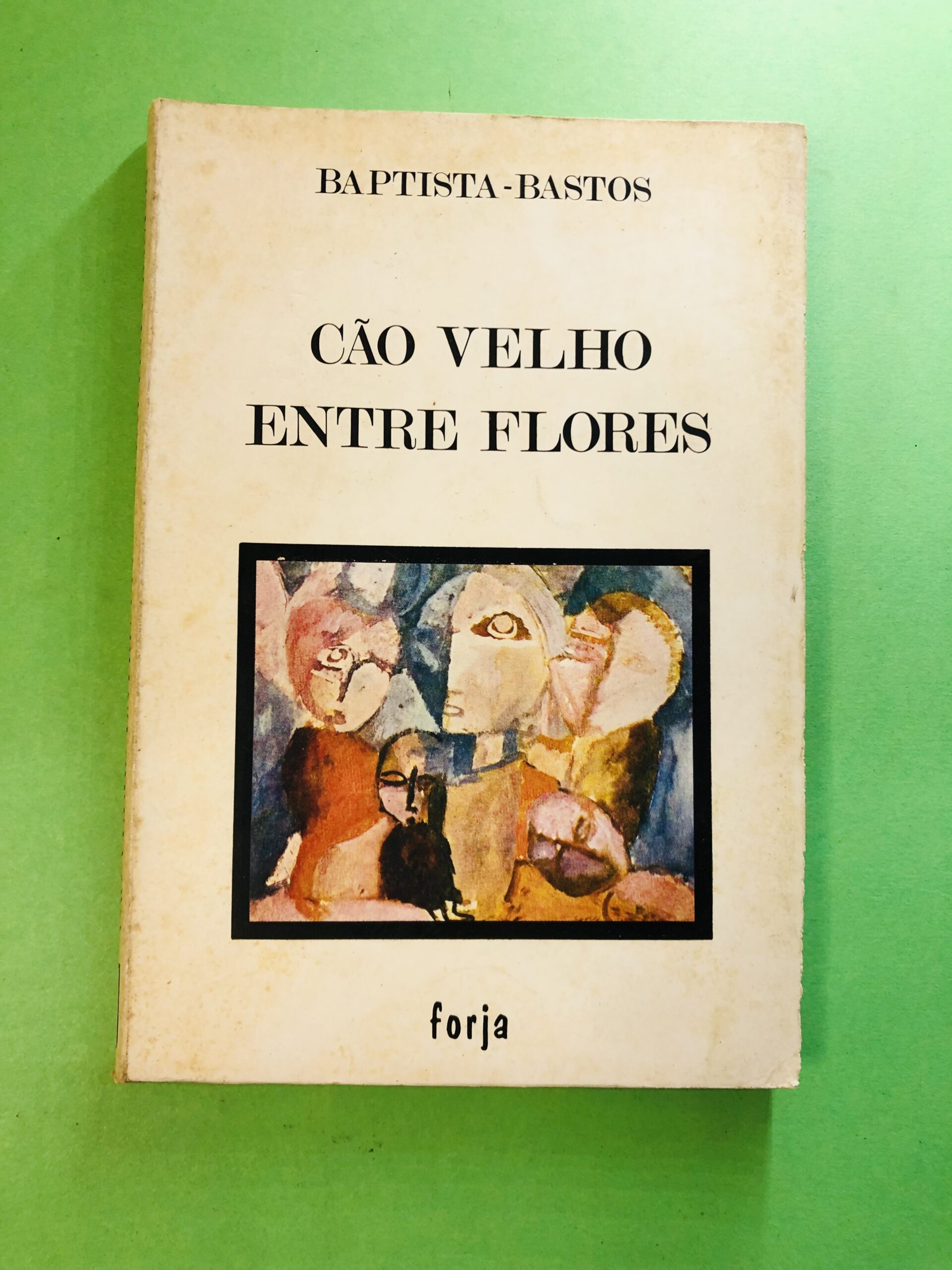 Cão Velho Entre Flores - Baptista-Bastos