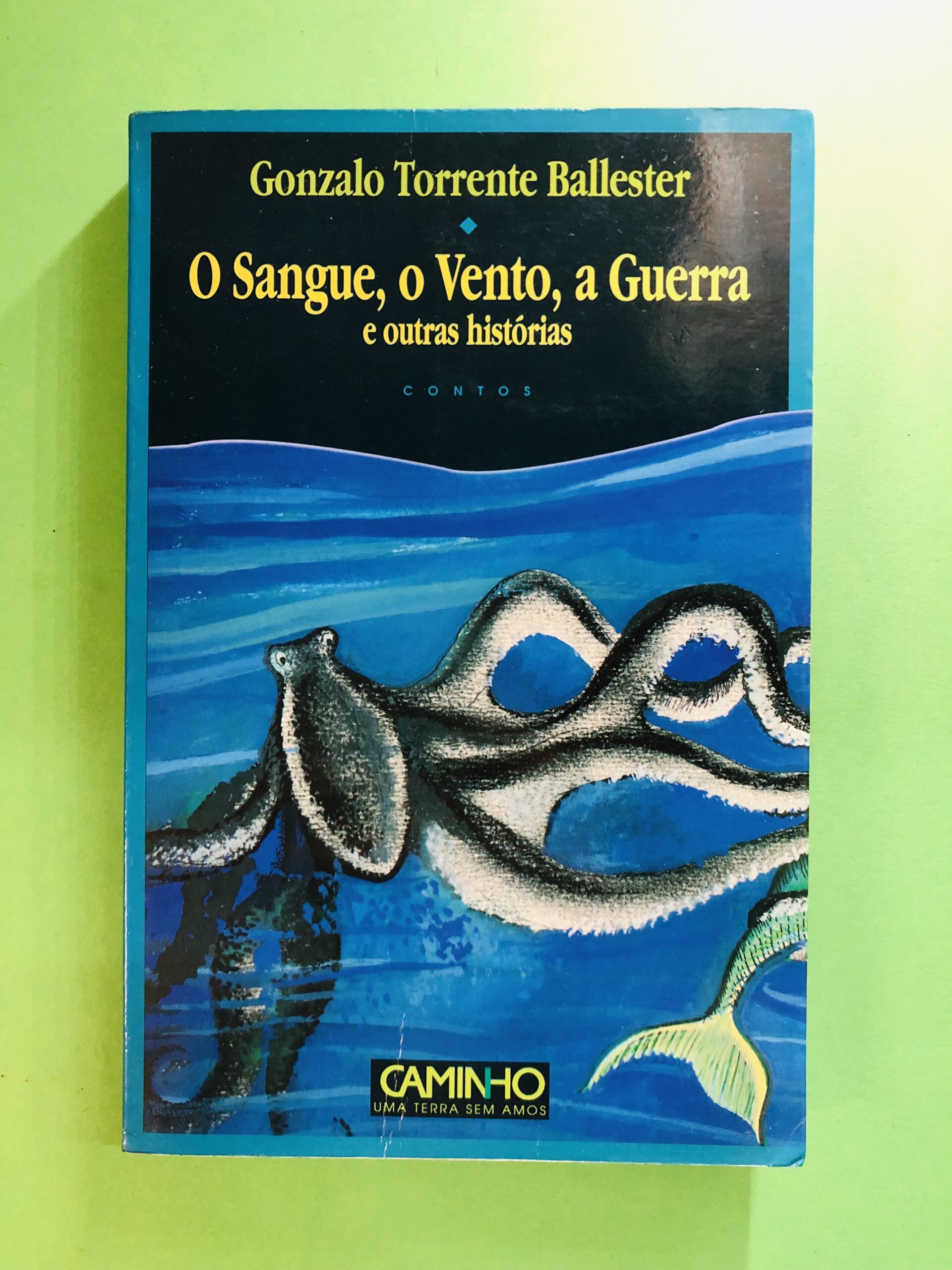 O Sangue, o Vento, a Guerra e outras histórias - Gonzalo Torrente Ballester