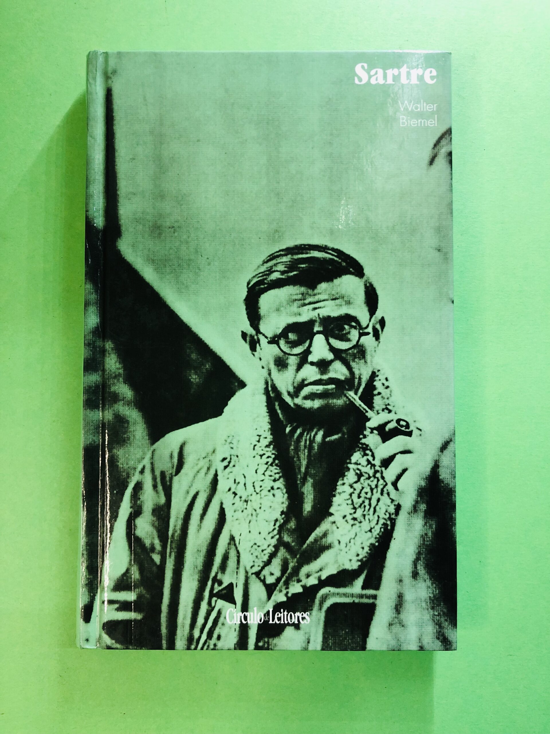 Sartre - Walter Biemel