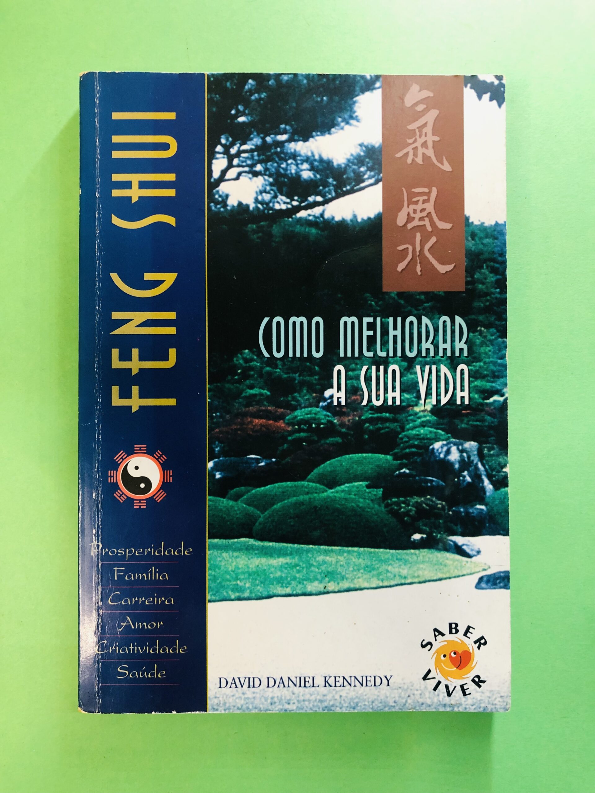 Como Melhorar a Sua Vida - David Daniel Kennedy