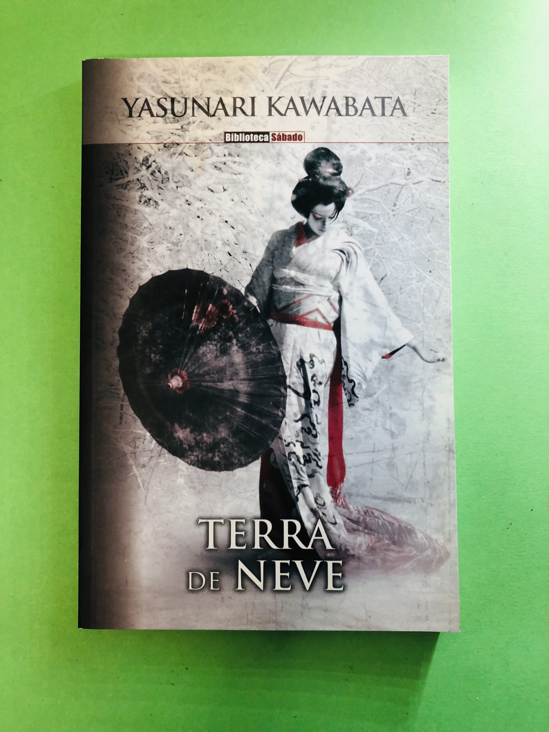 Terra de Neve - Yasunari Kawabata
