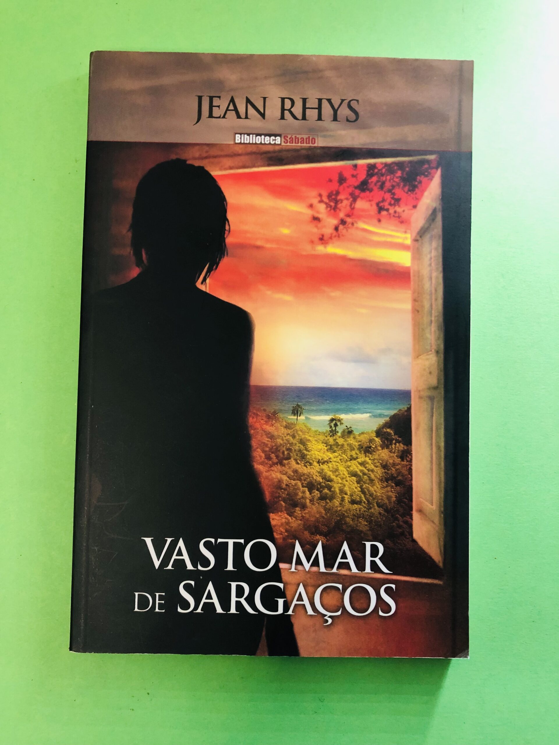 Vasto Mar de Sargassos - Jean Rhys