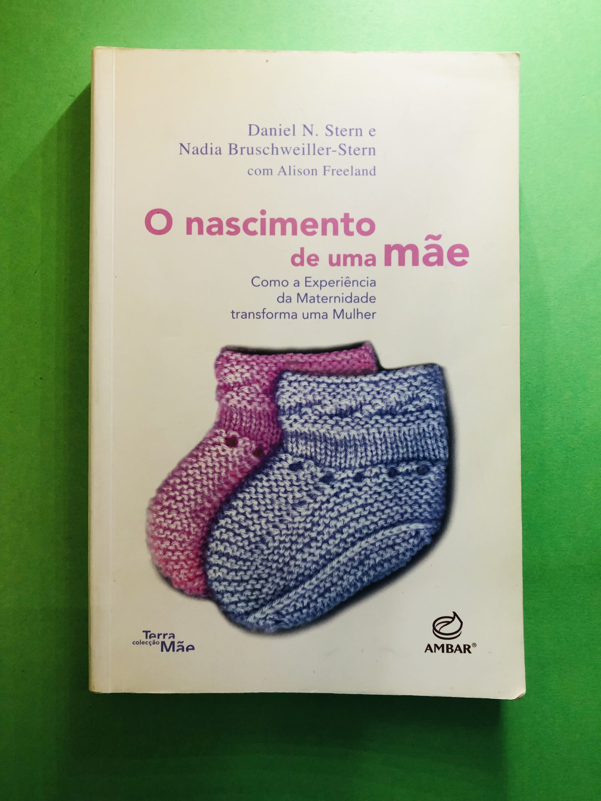 O nascimento de uma mãe - Daniel N. Stern e Nadia Bruschweiler-Stern com Alison Freeland