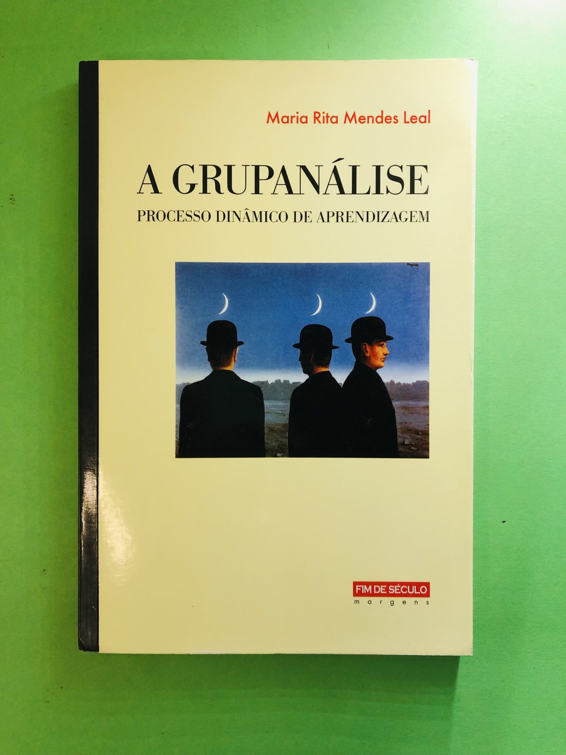 A Grupanalise - Maria Rita Mendes Leal