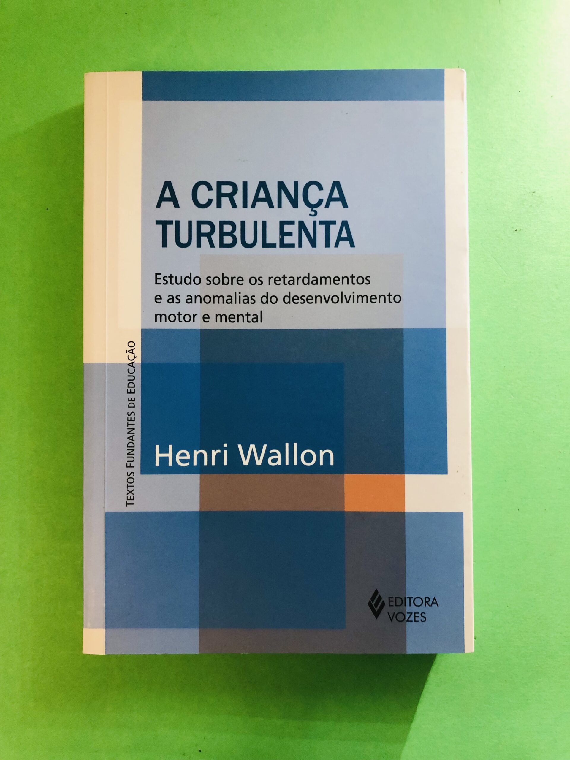 A CRIANÇA TURBULENTA - Henri Wallon
