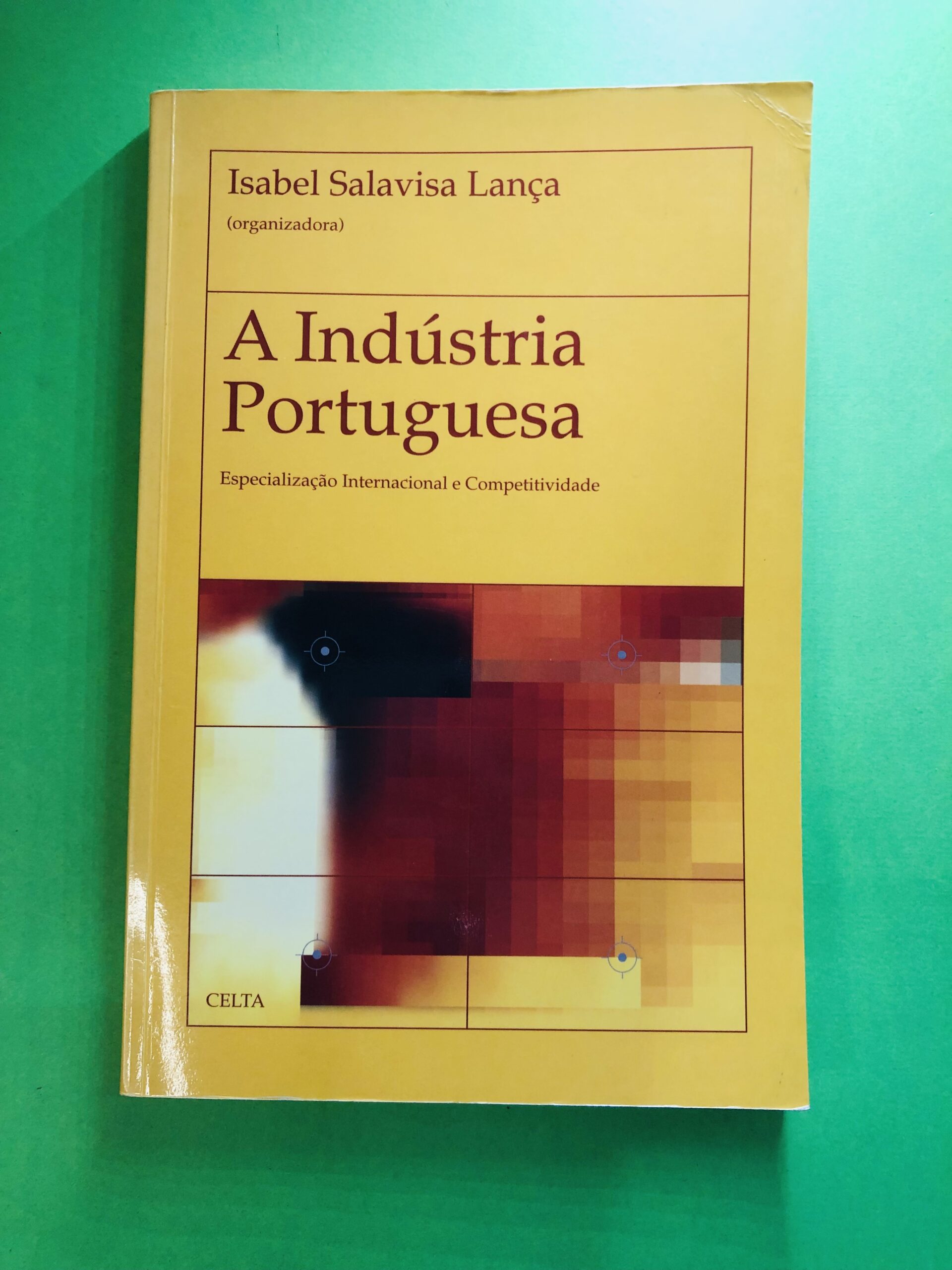 A Indústria Portuguesa - Isabel Salavisa Lança