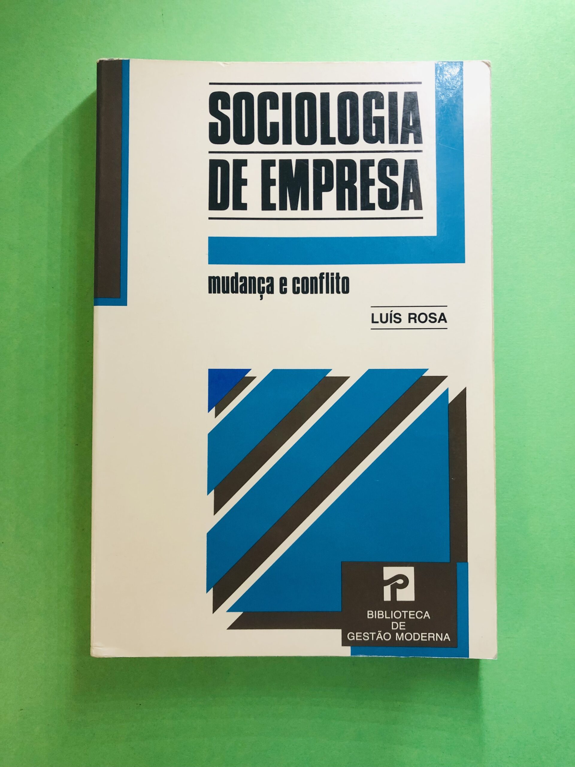 Sociologia de Empresa - Luís Rosa