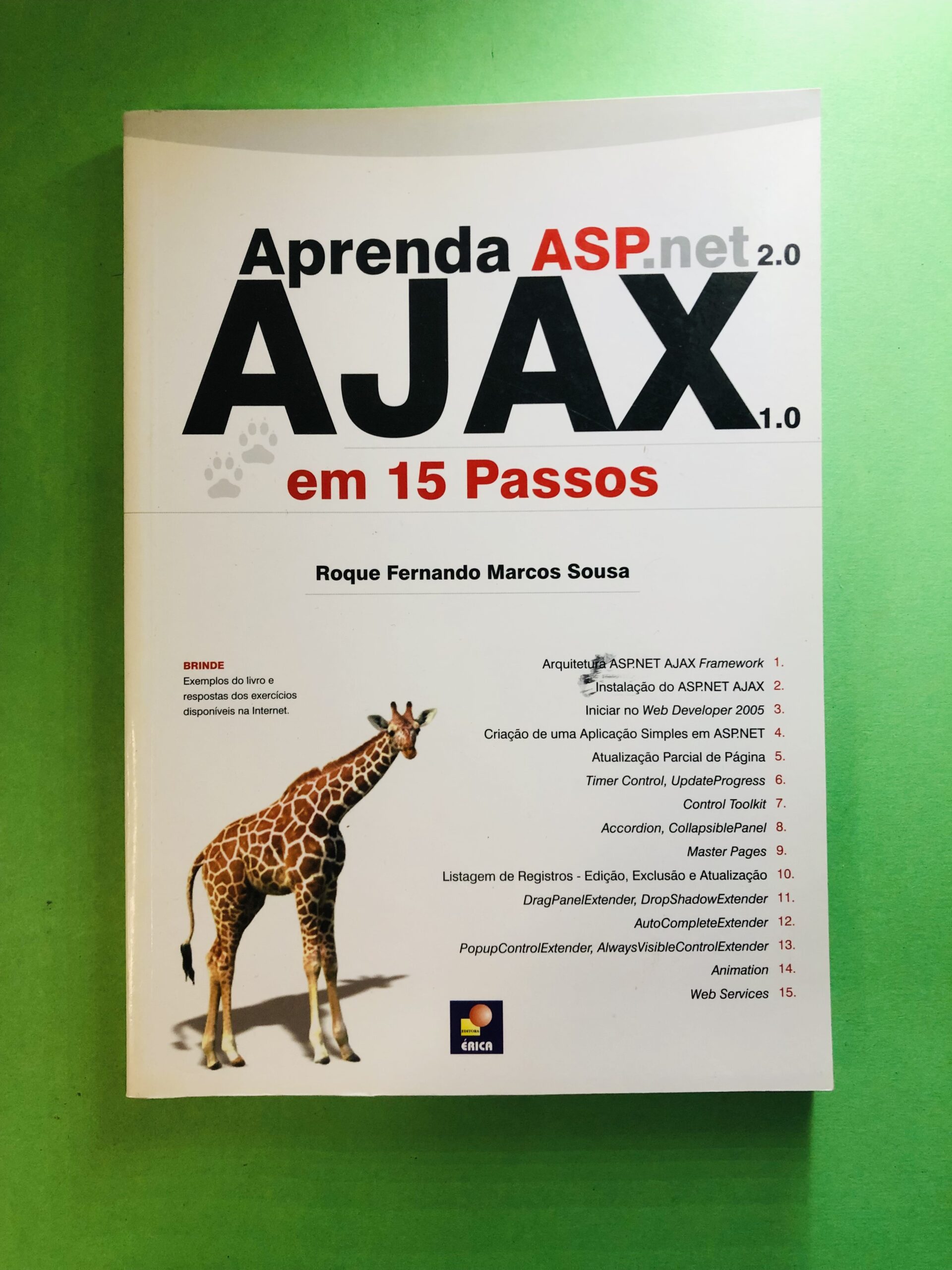 Aprenda ASP.net 2.0 AJAX 1.0 em 15 Passos - Roque Fernando Marcos Sousa