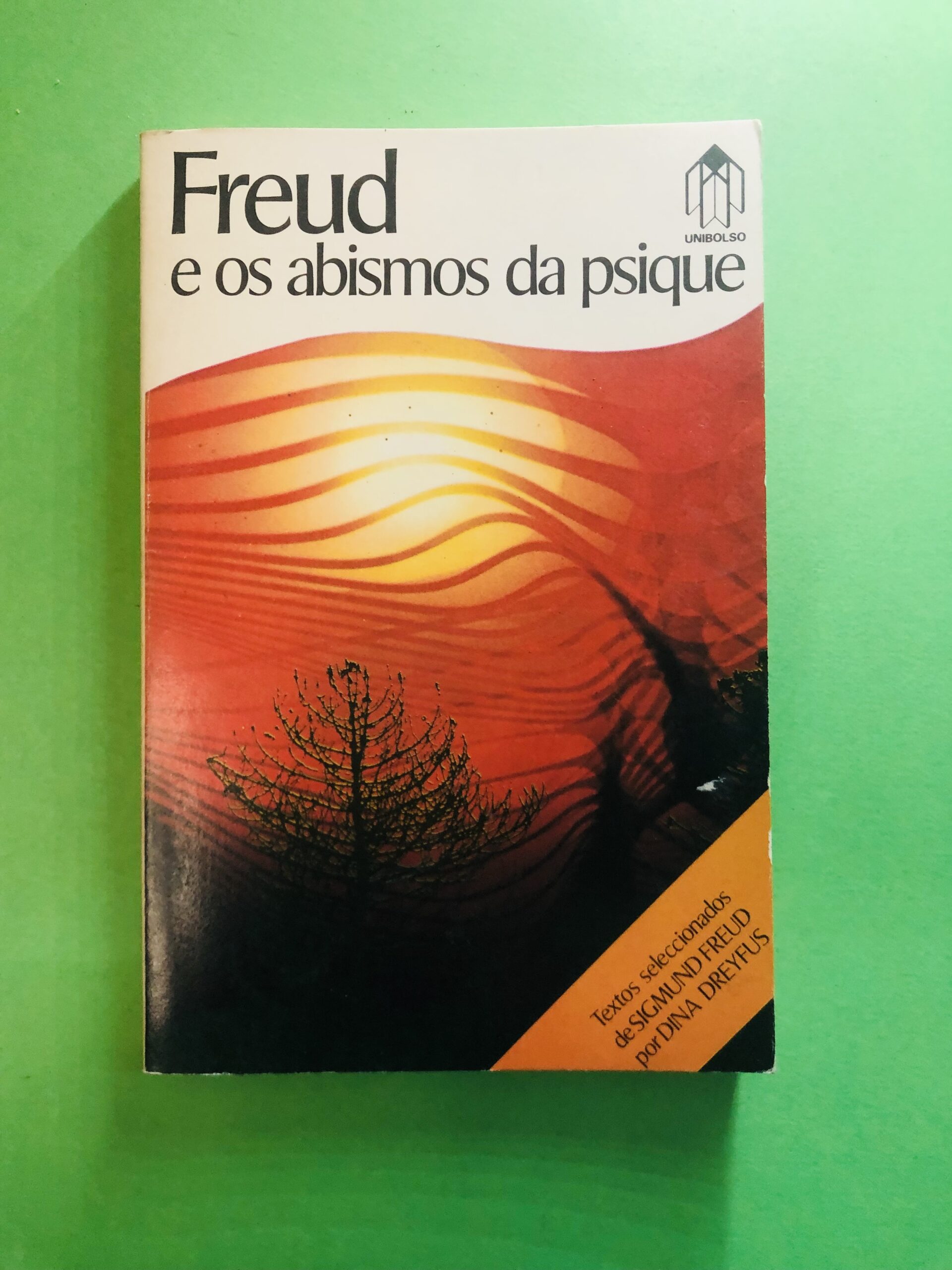 Freud e os abismos da psique - Desconhecido
