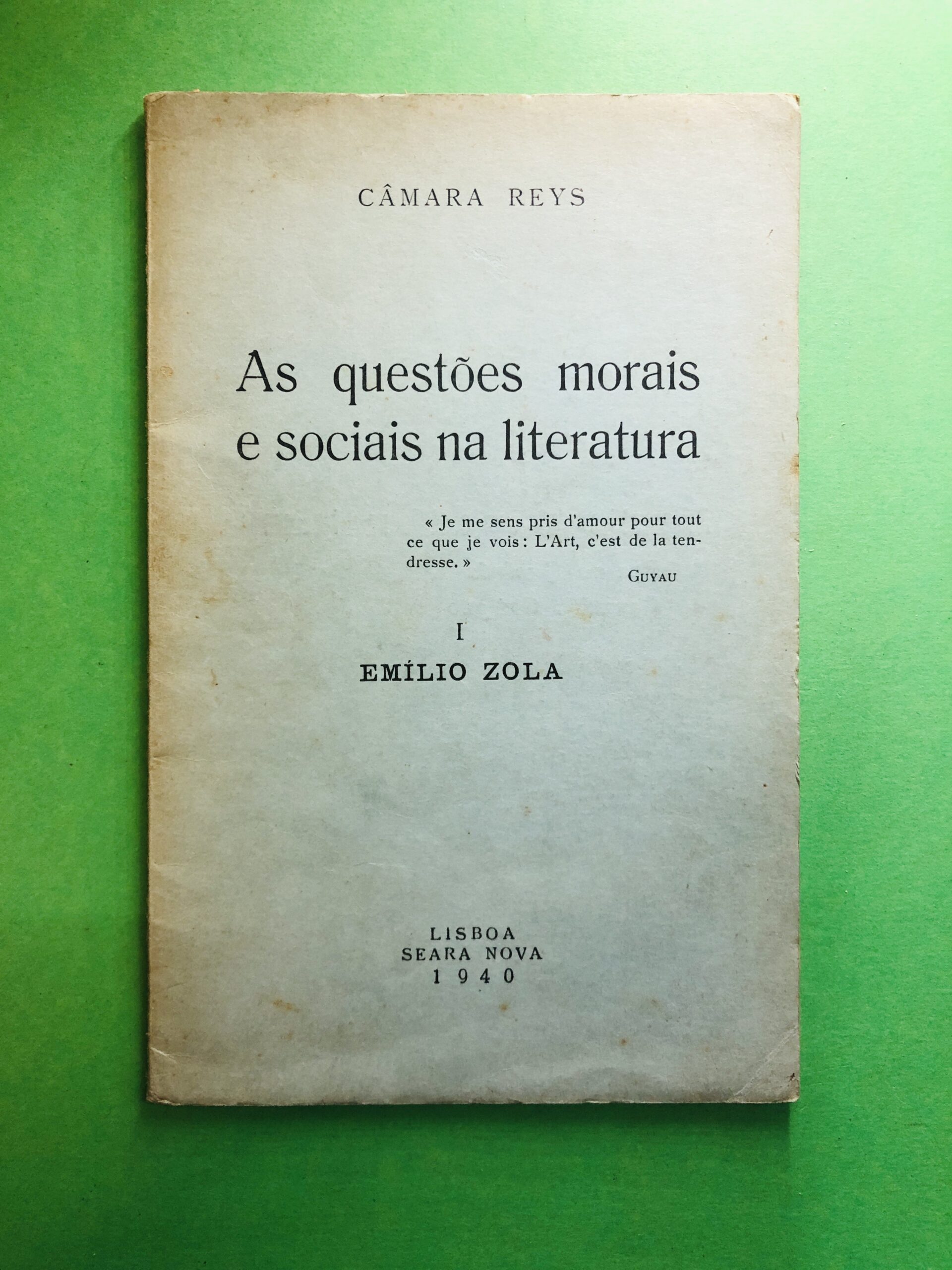 As questões morais e sociais na literatura - CâMara Reyes