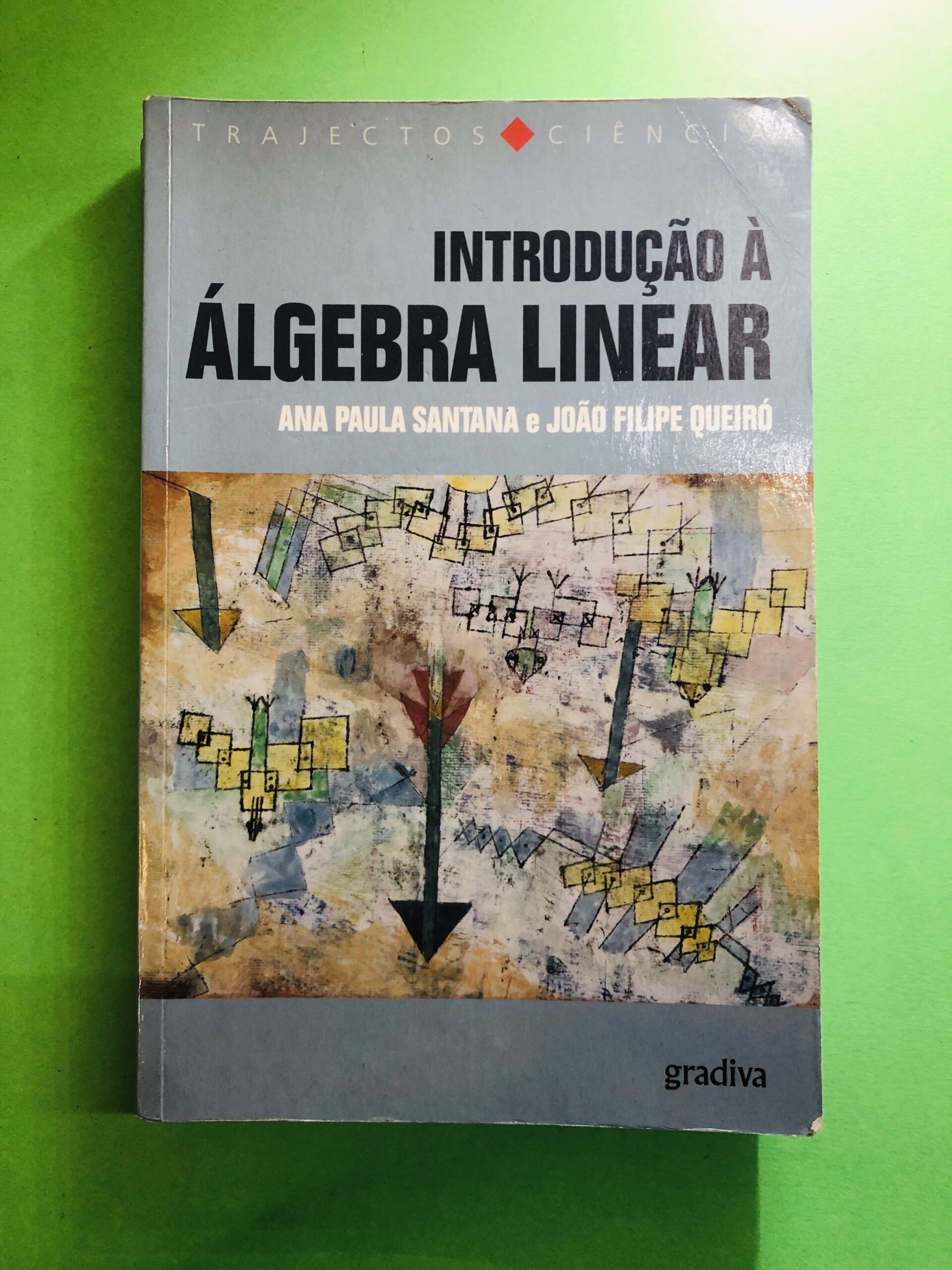 Introdução à Álgebra Linear - Ana Paula Santana e João Filipe Queiró