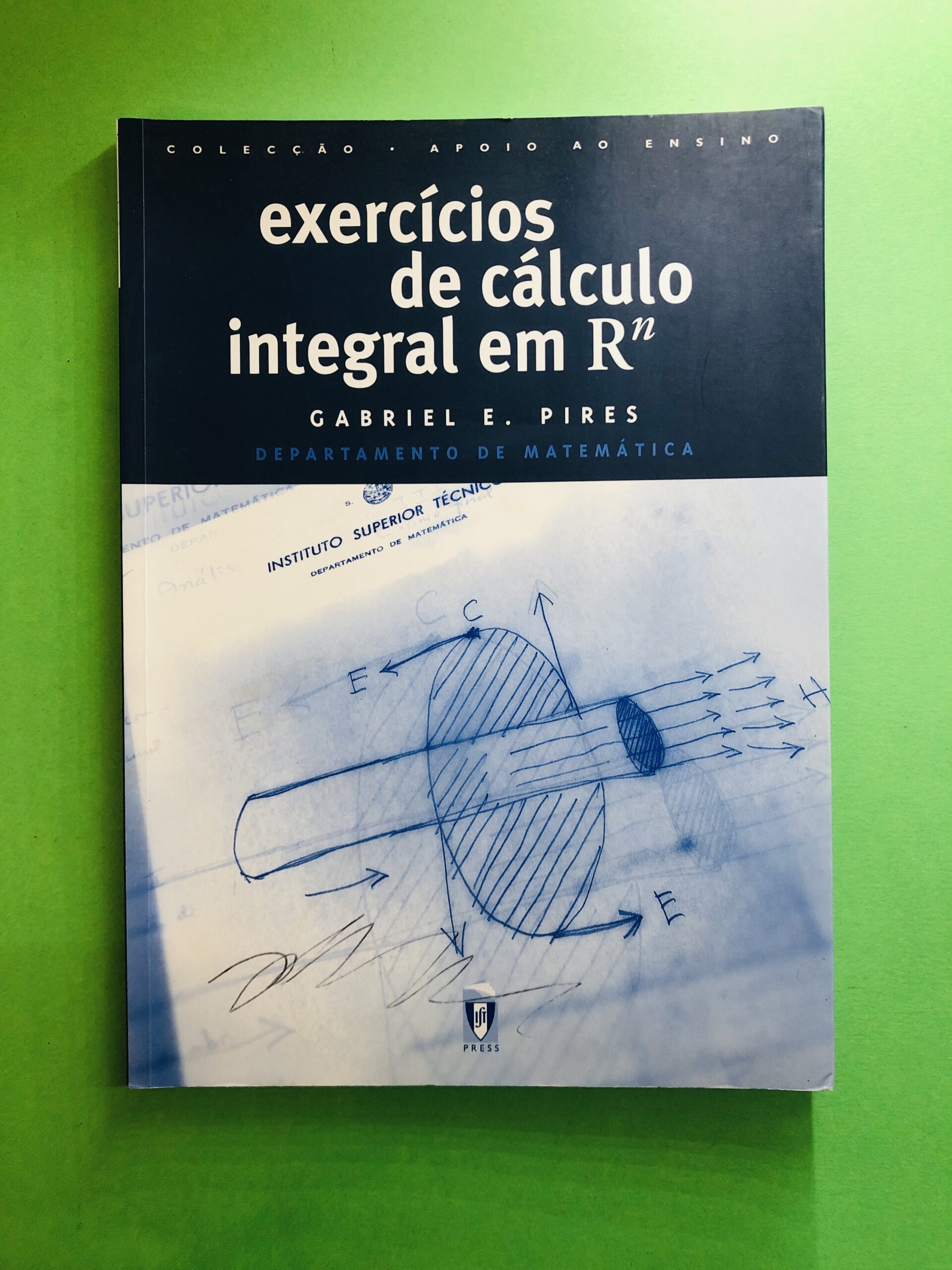 Exercícios de Cálculo Integral em Rⁿ - Gabriel E. Pires