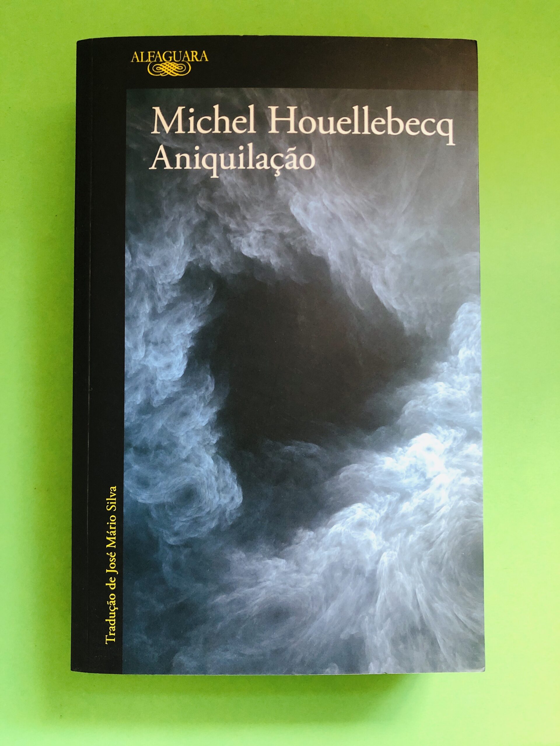 Aniquilação - Michel Houellebecq
