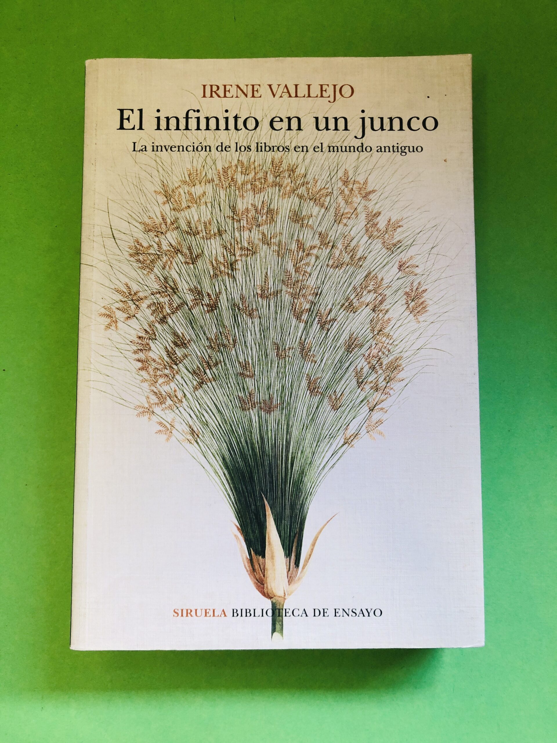 El infinito en un junco - Irene Vallejo