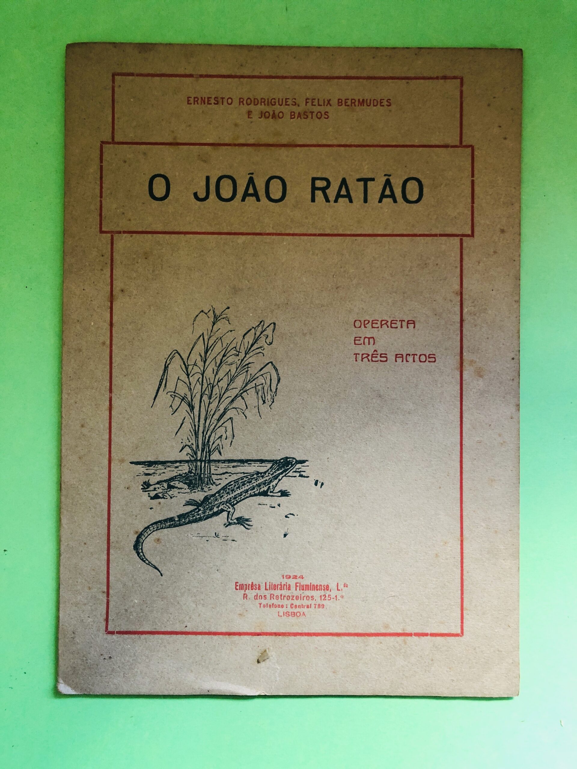 O João Ratão - Ernesto Rodrigues, Félix Bermudes e João Bastos