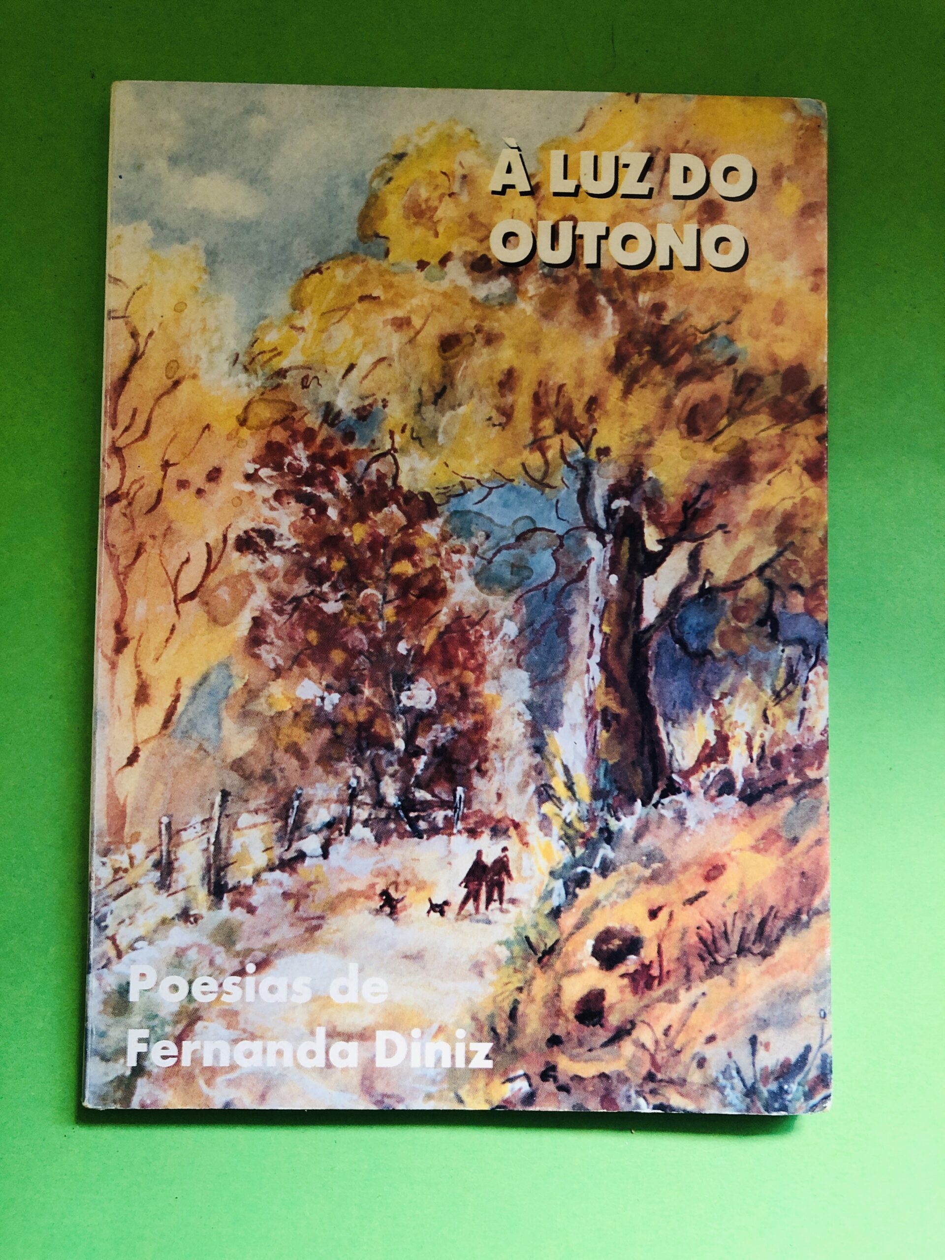 À Luz do Outono - Fernanda Diniz