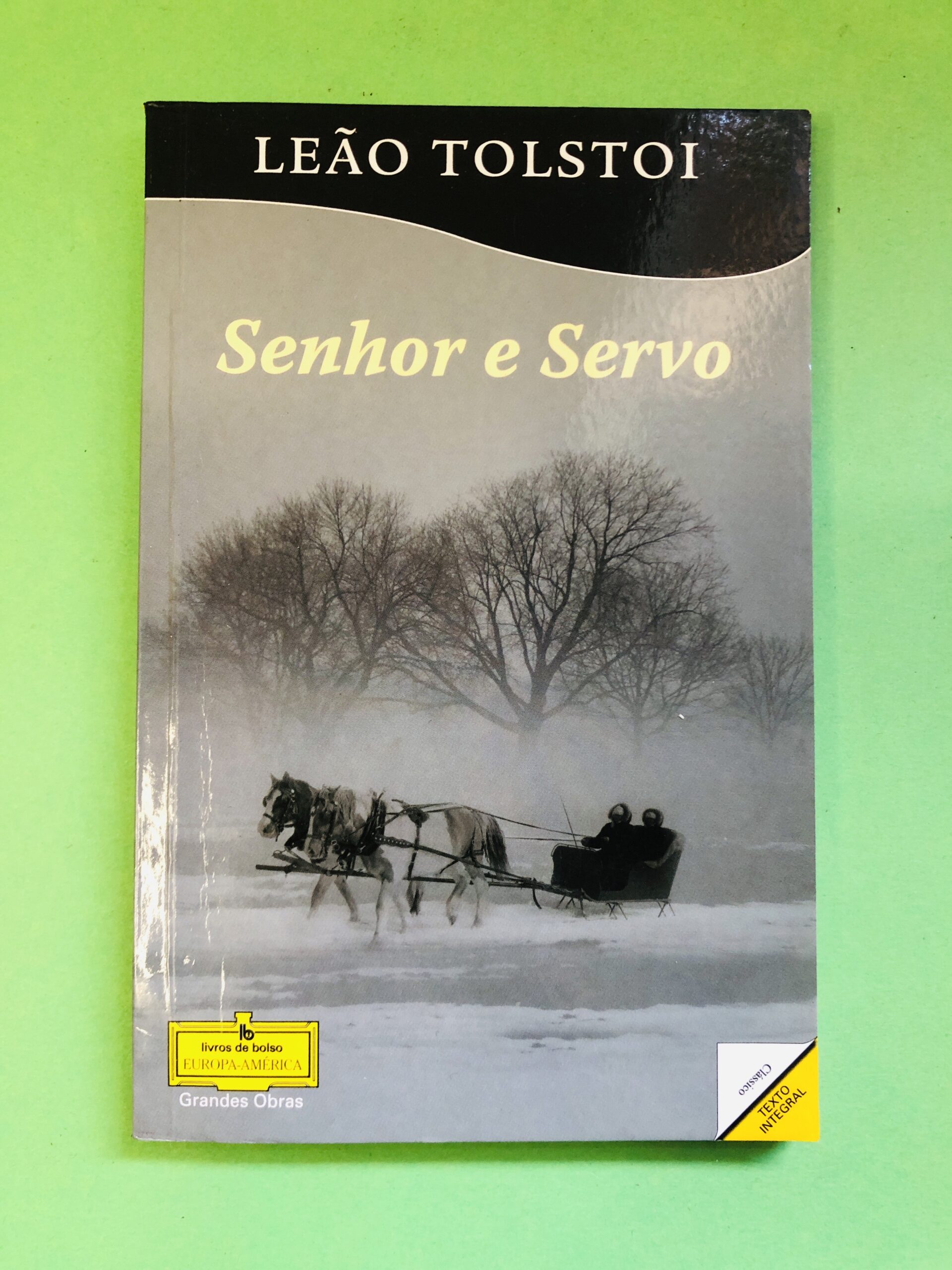 Senhor e Servo - Leão Tolstoi