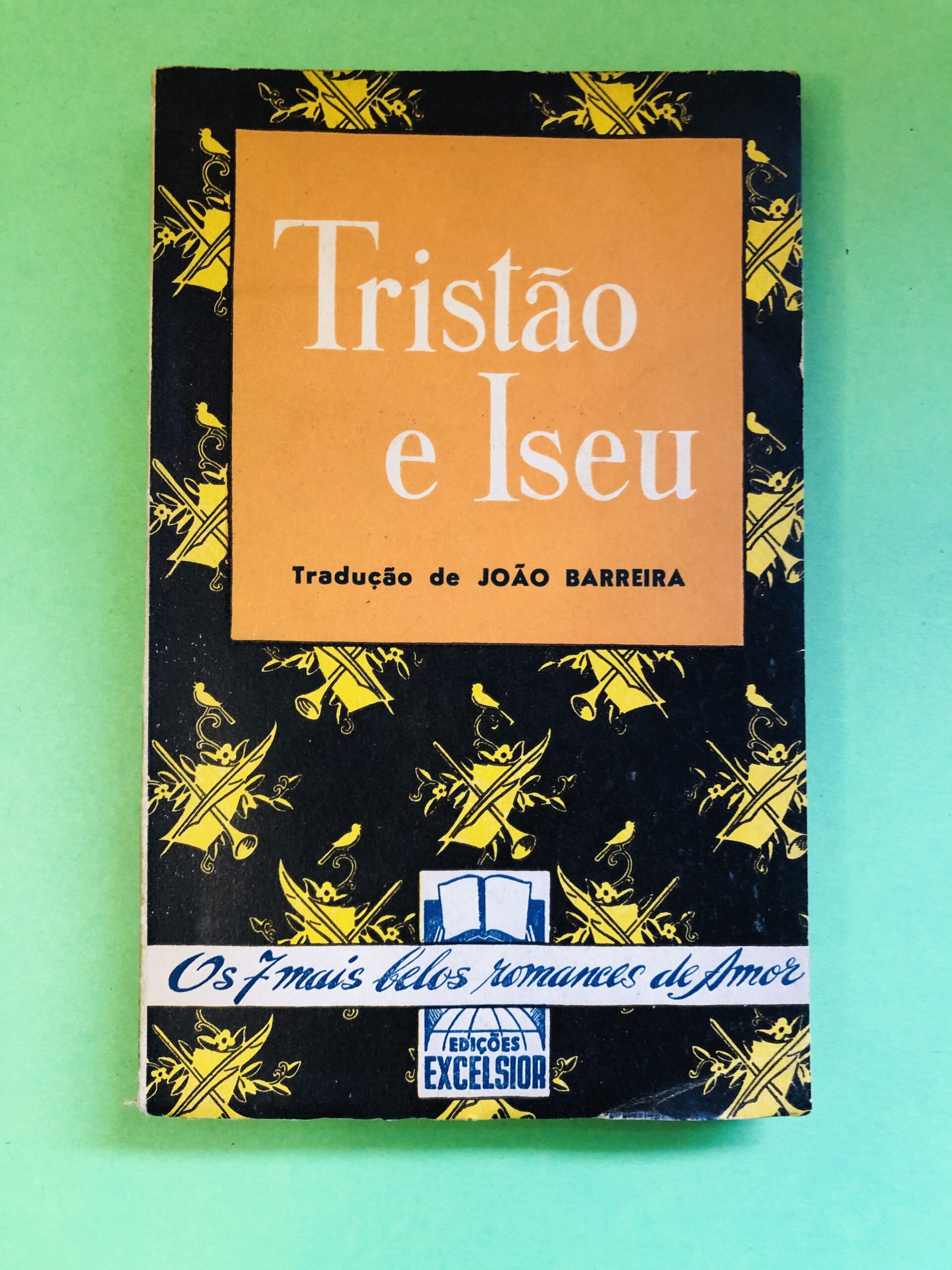 Tristão e Iseu - João Barreira