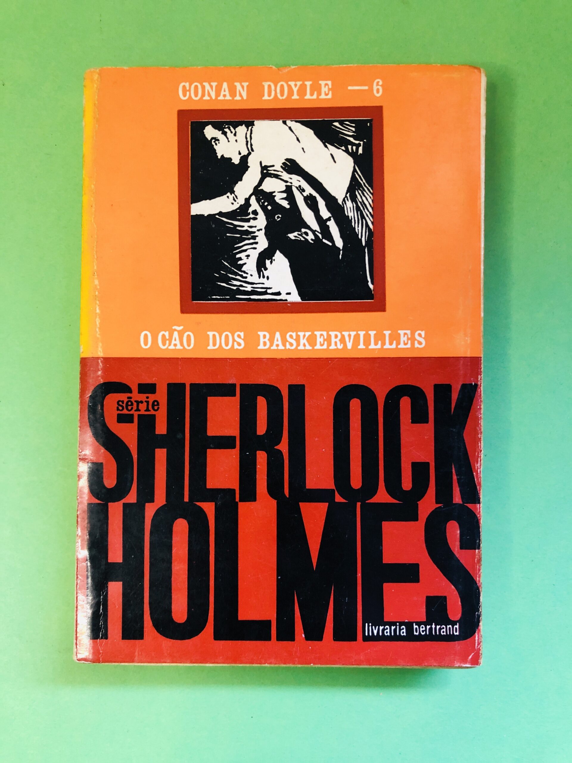 O Cão dos Baskervilles - Conan Doyle