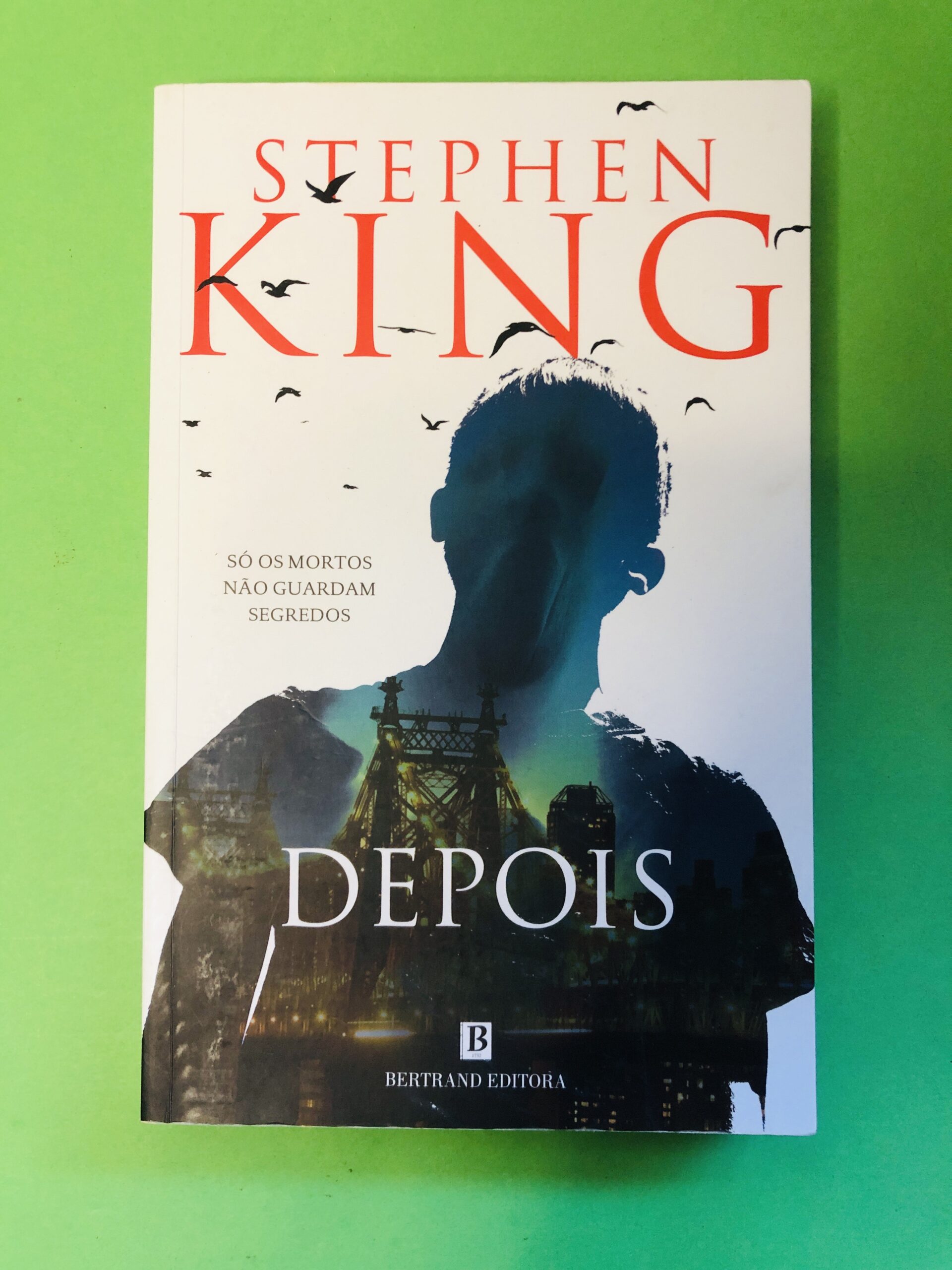 Depois - Stephen King