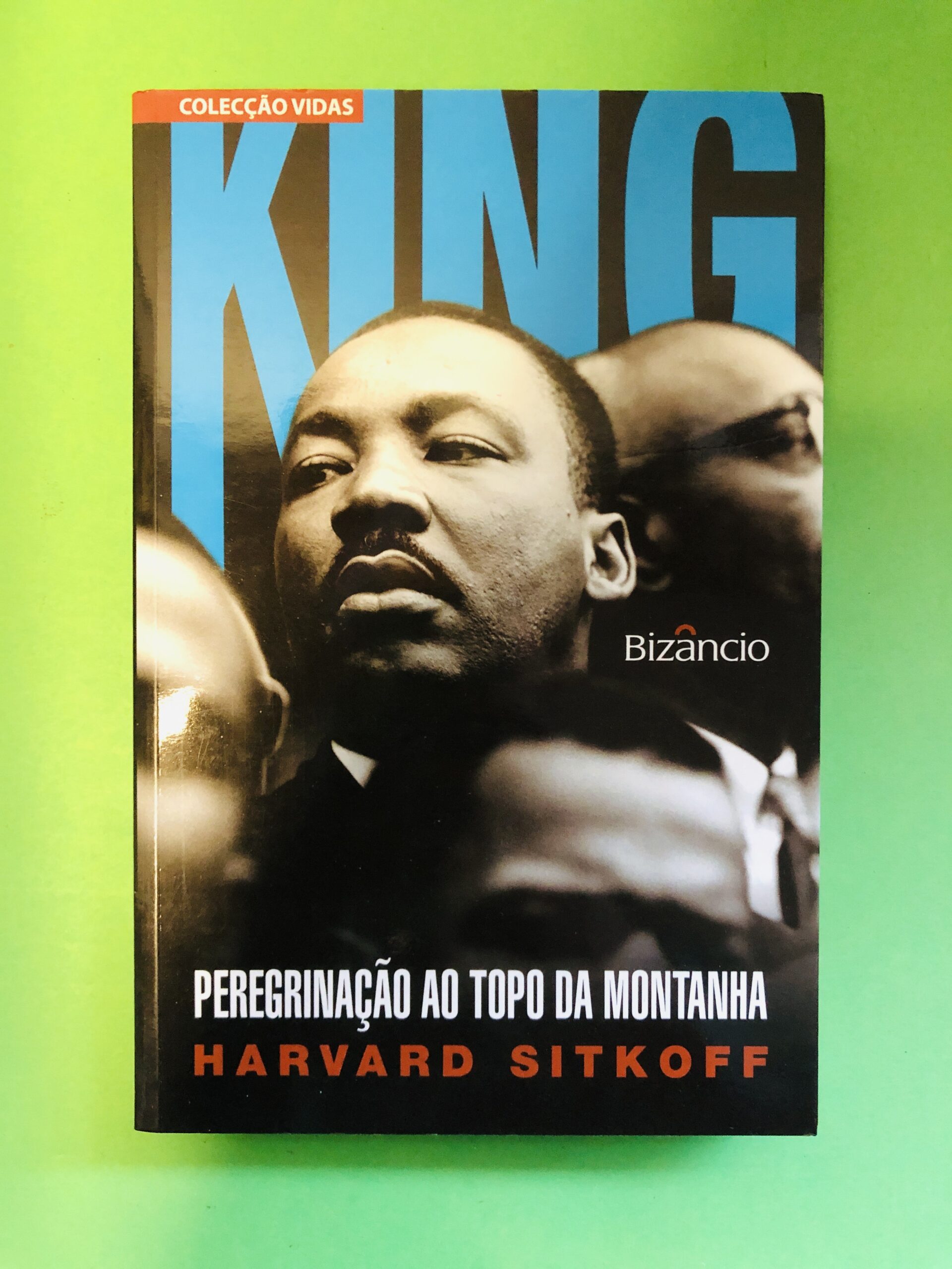 Peregrinação ao Topo da Montanha - Harvard Sitkoff