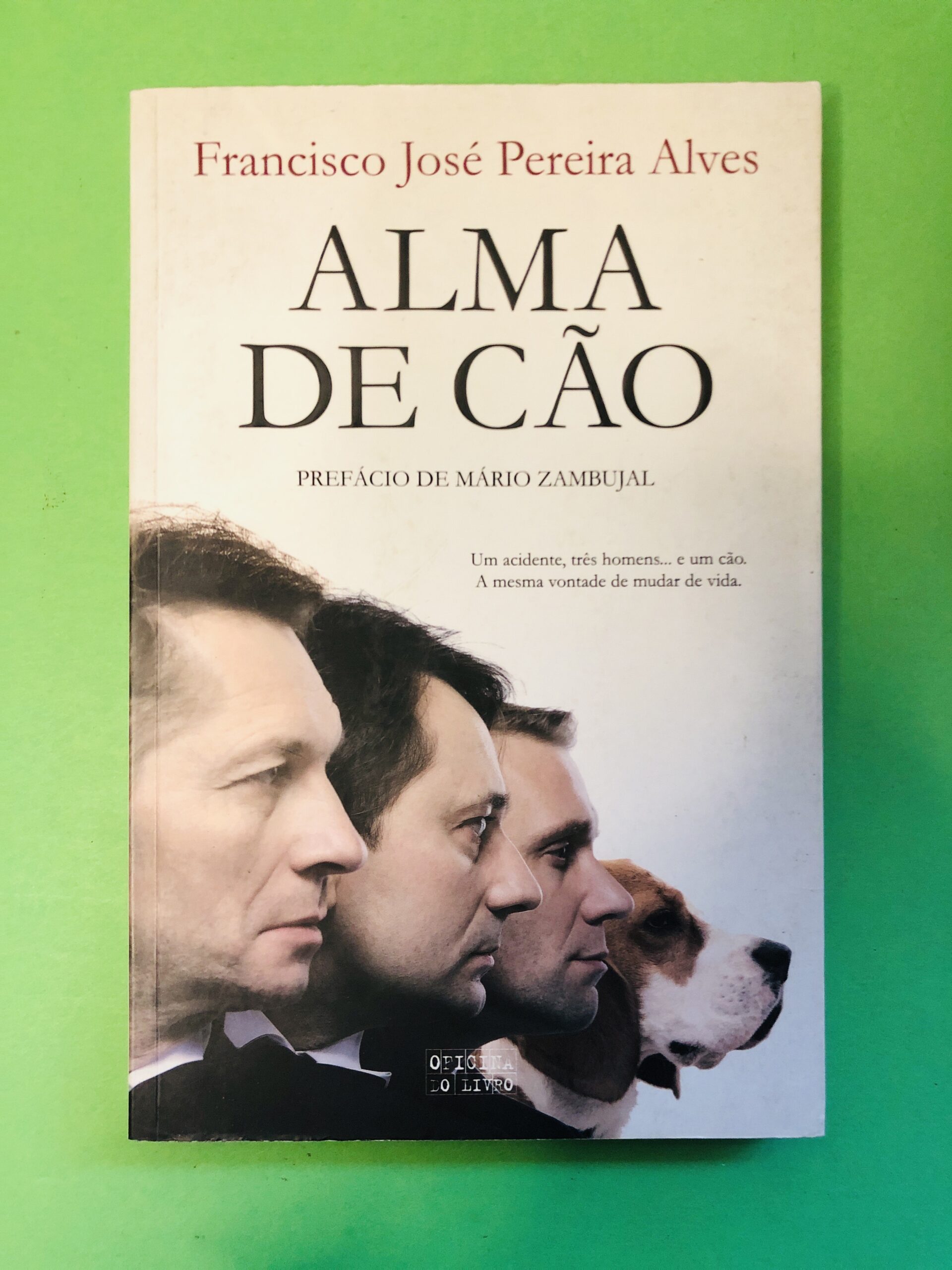 ALMA DE CÃO - Francisco José Pereira Alves