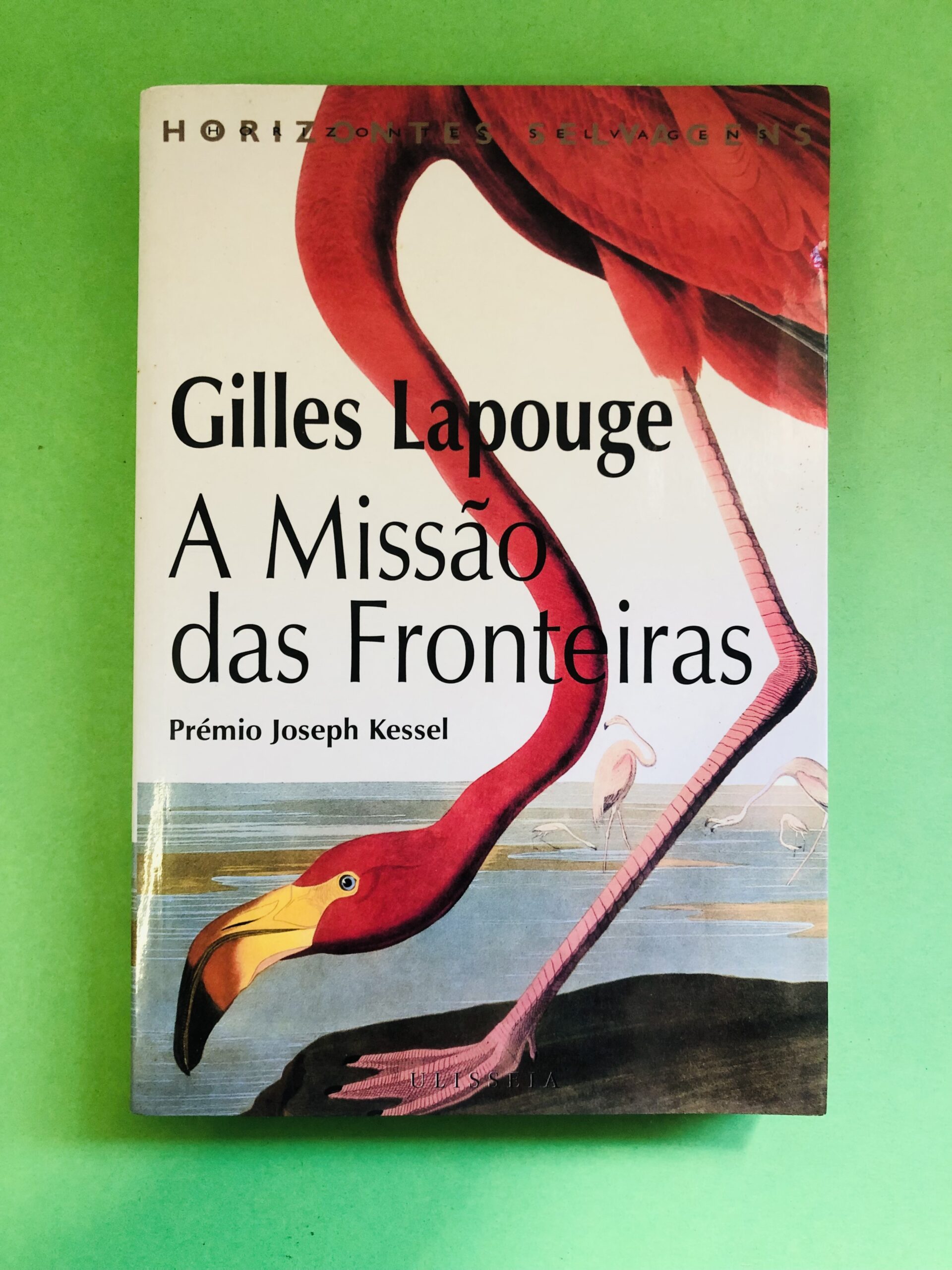 A Missão das Fronteiras - Gilles Lapouge