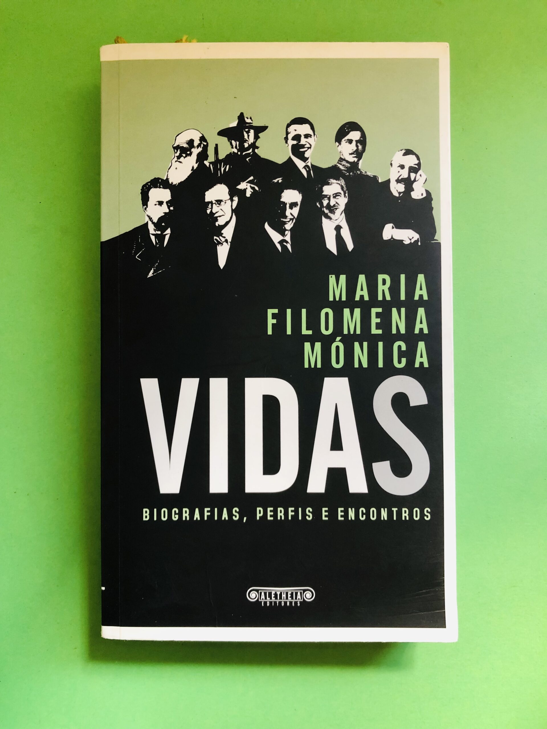Vidas - Maria Filomena Mónica