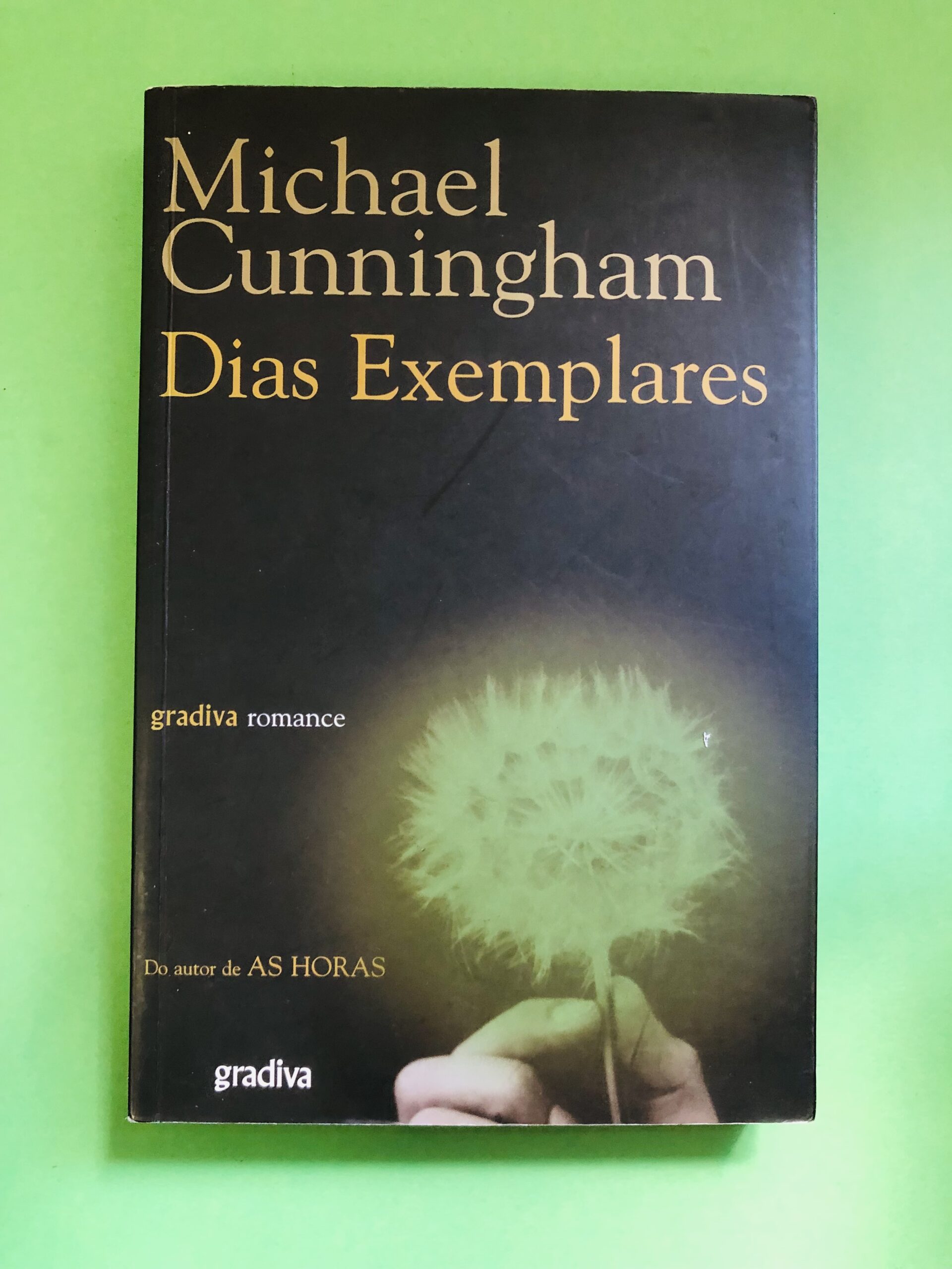 Dias Exemplares - Michael Cunningham